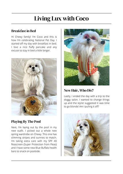 Chewy Newsletter (1).png