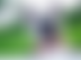 Les avantages et les inconvenients des colliers en ecorce