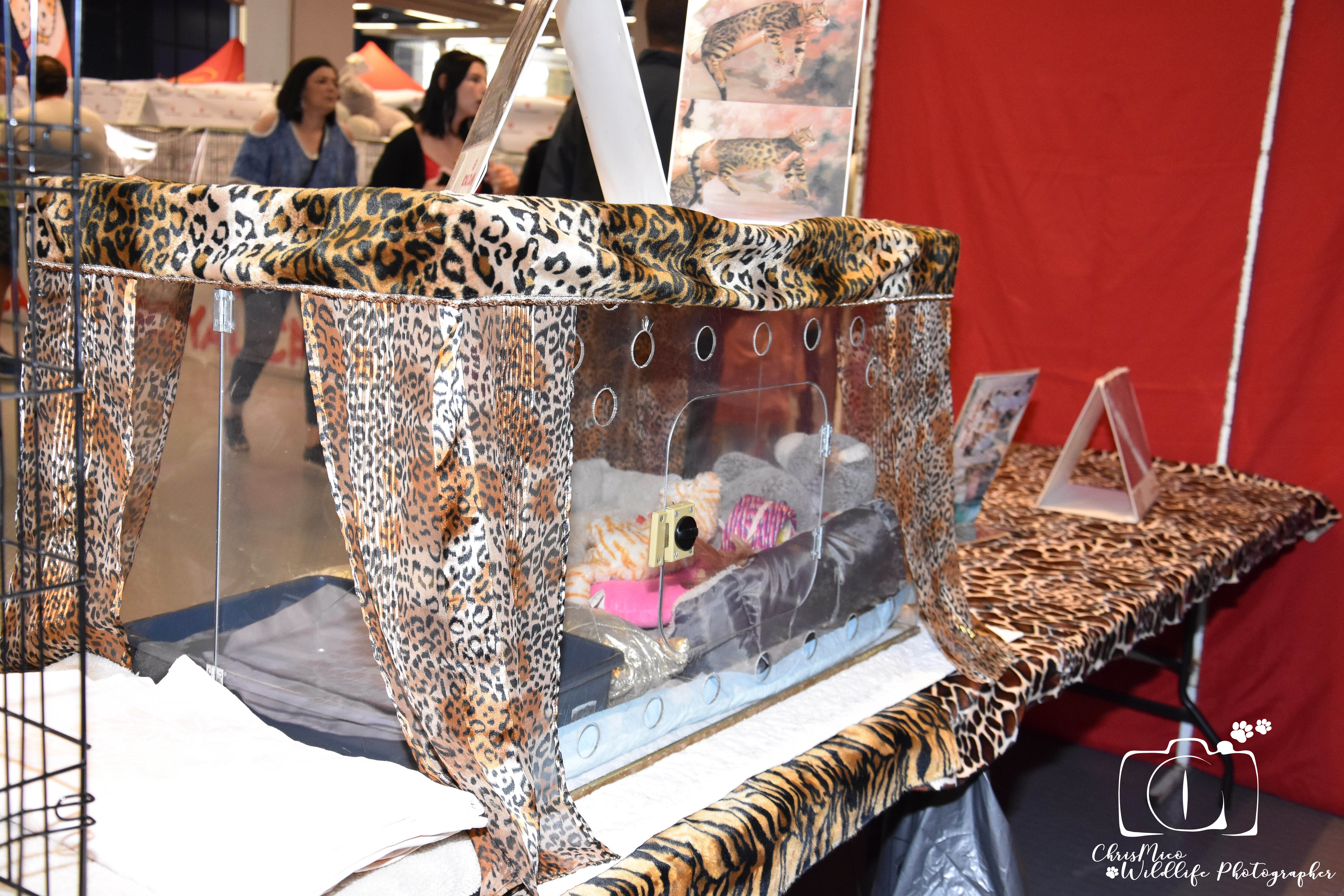 salon des Animaux Nice