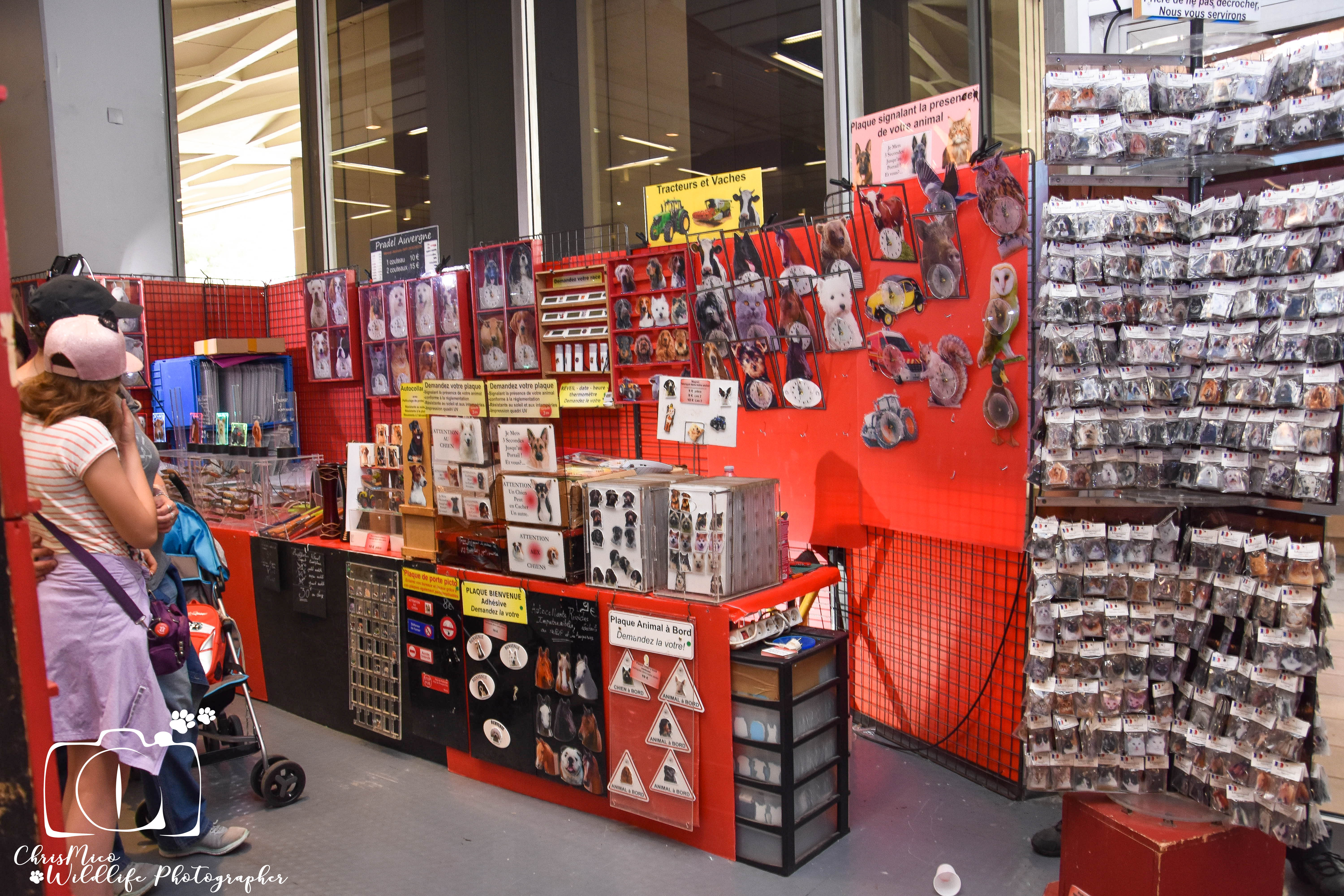 salon des Animaux Nice
