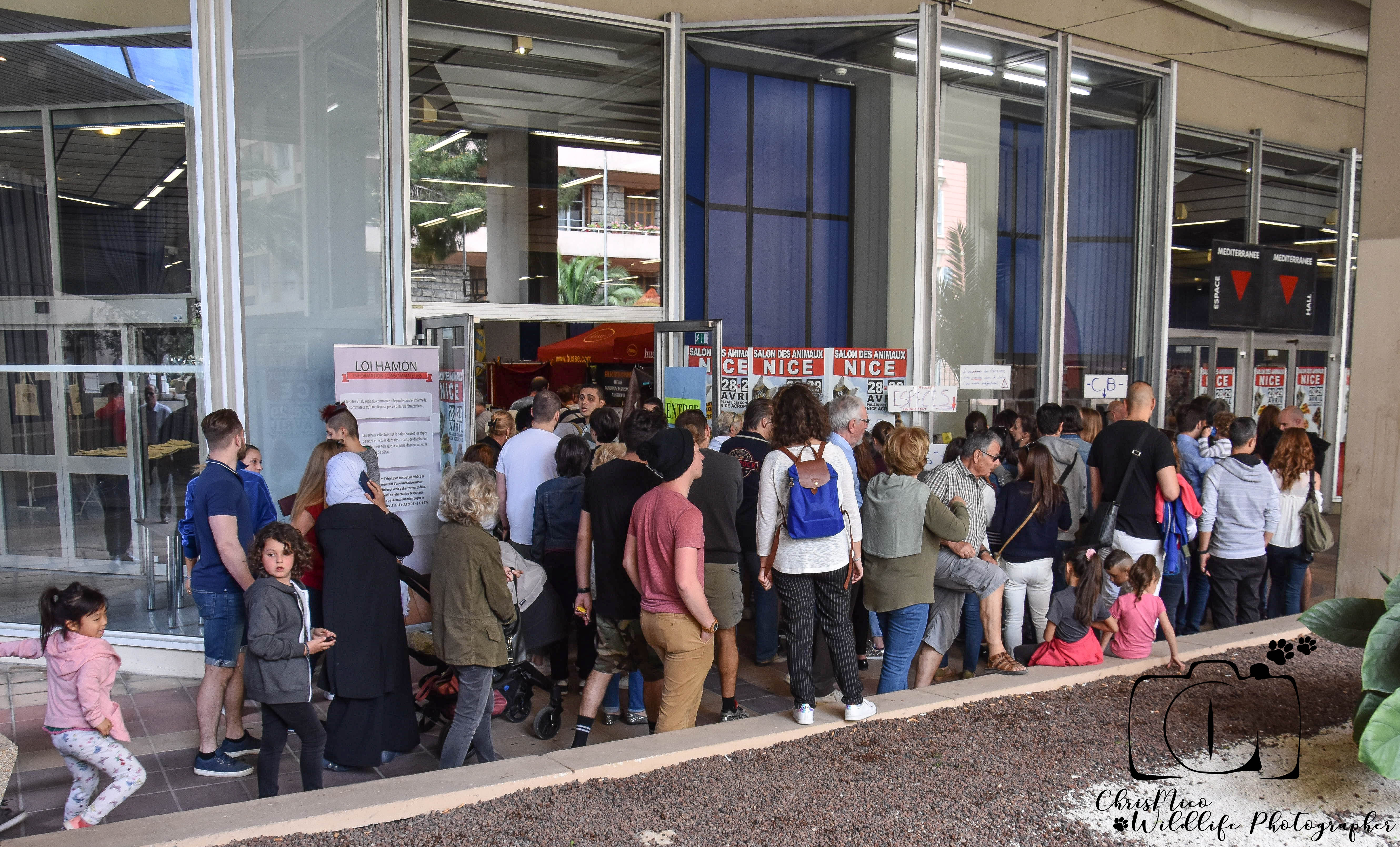 salon des Animaux Nice