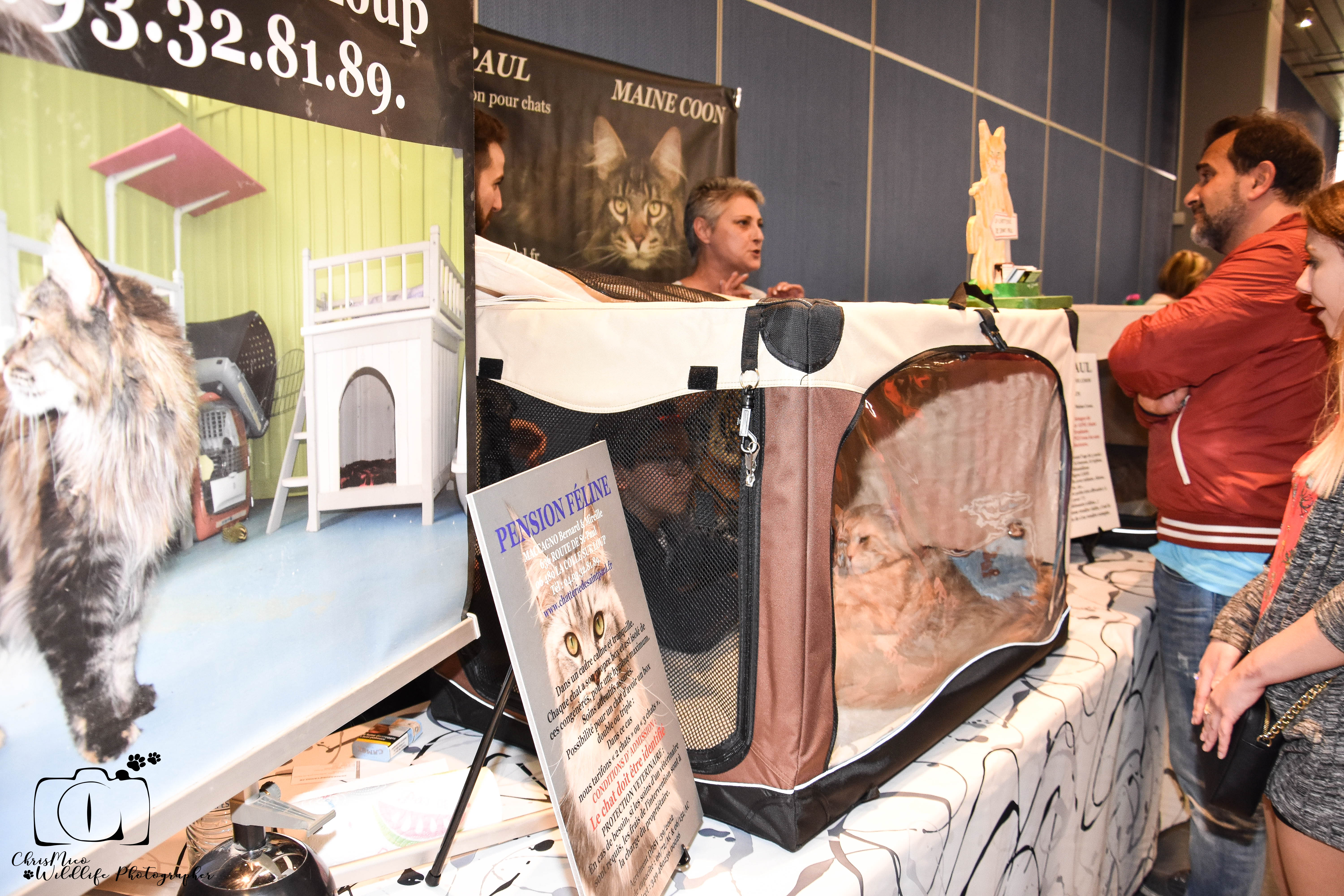 salon des Animaux Nice