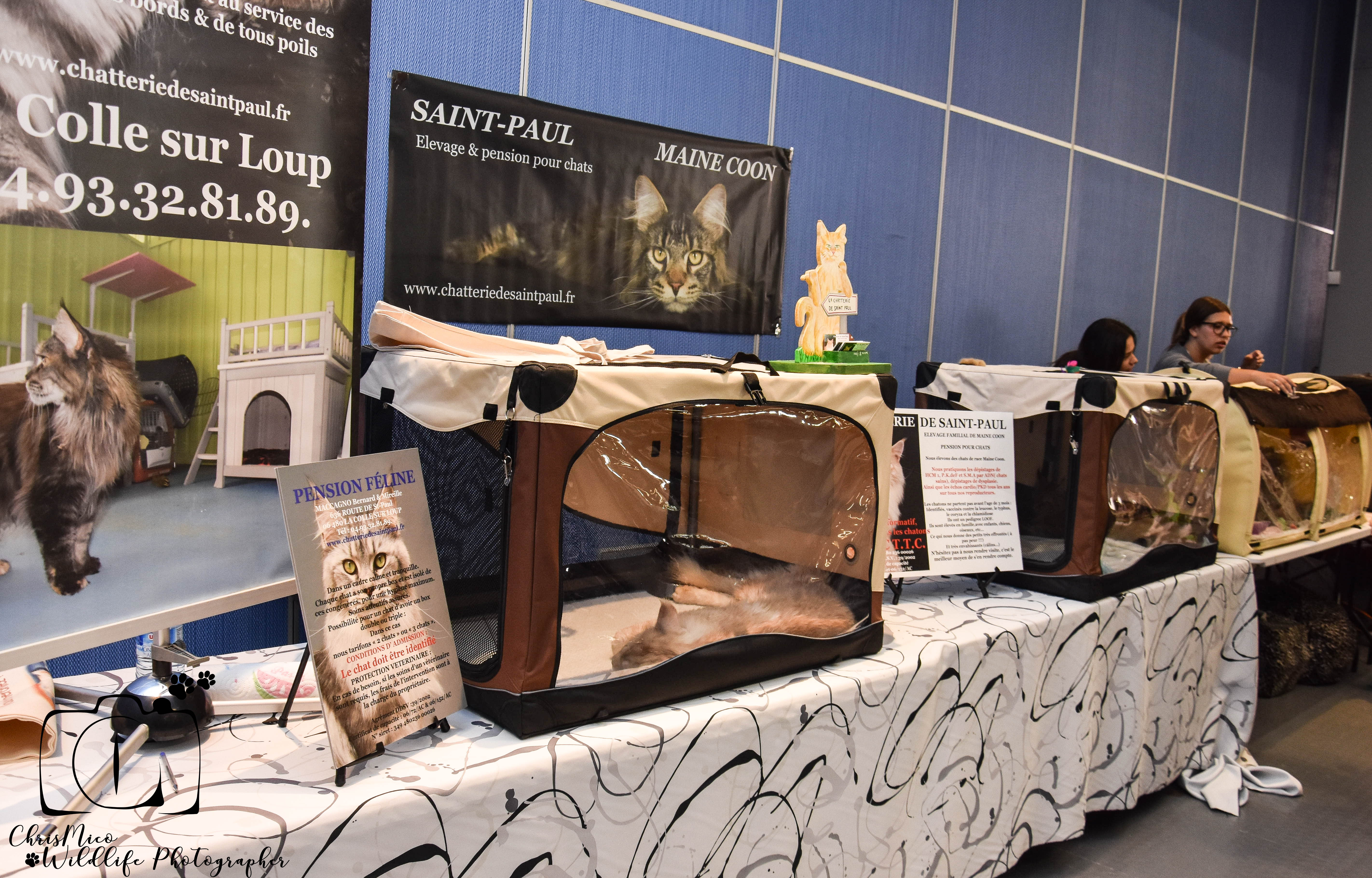 salon des Animaux Nice