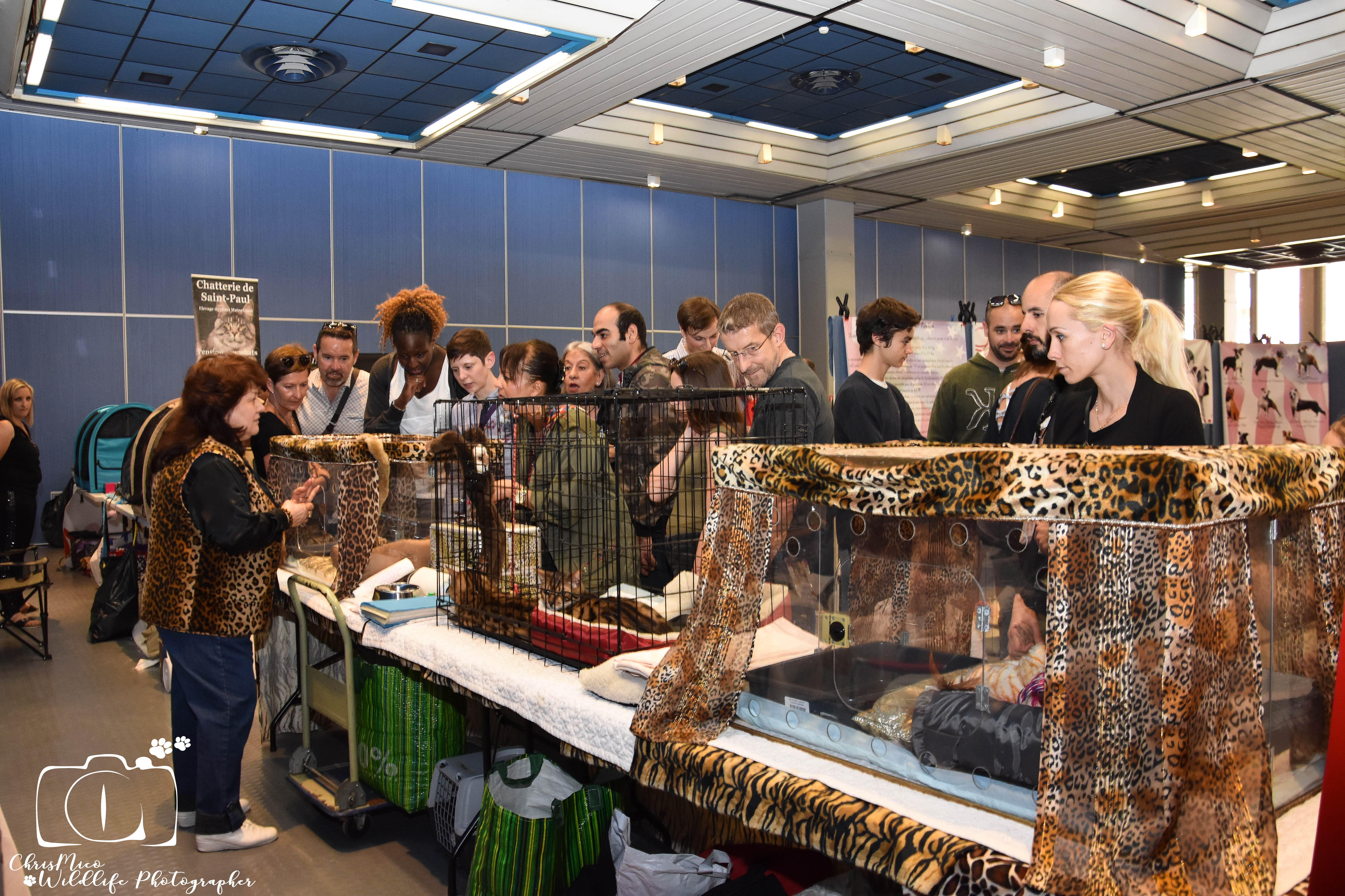 salon des Animaux Nice