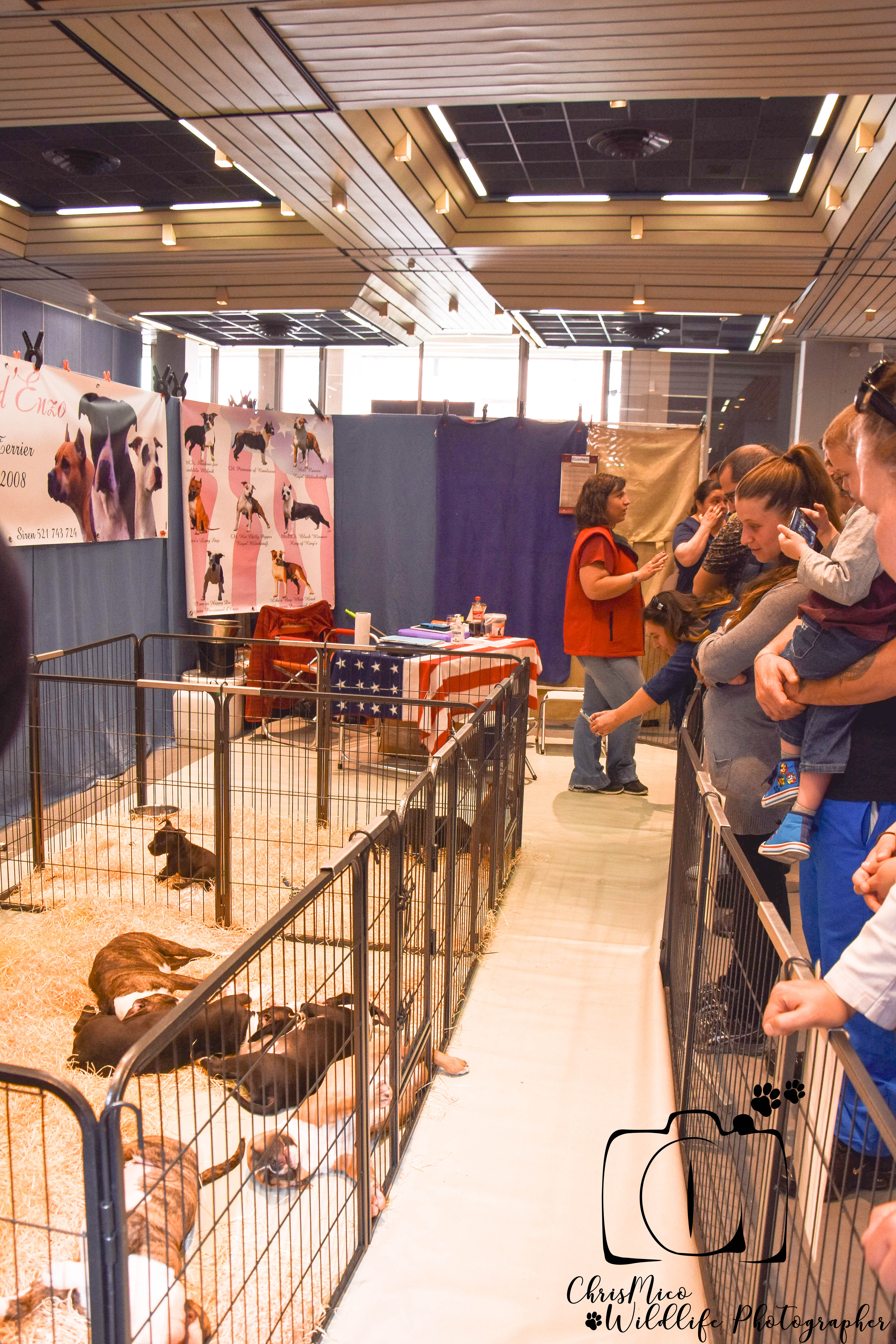 salon des Animaux Nice