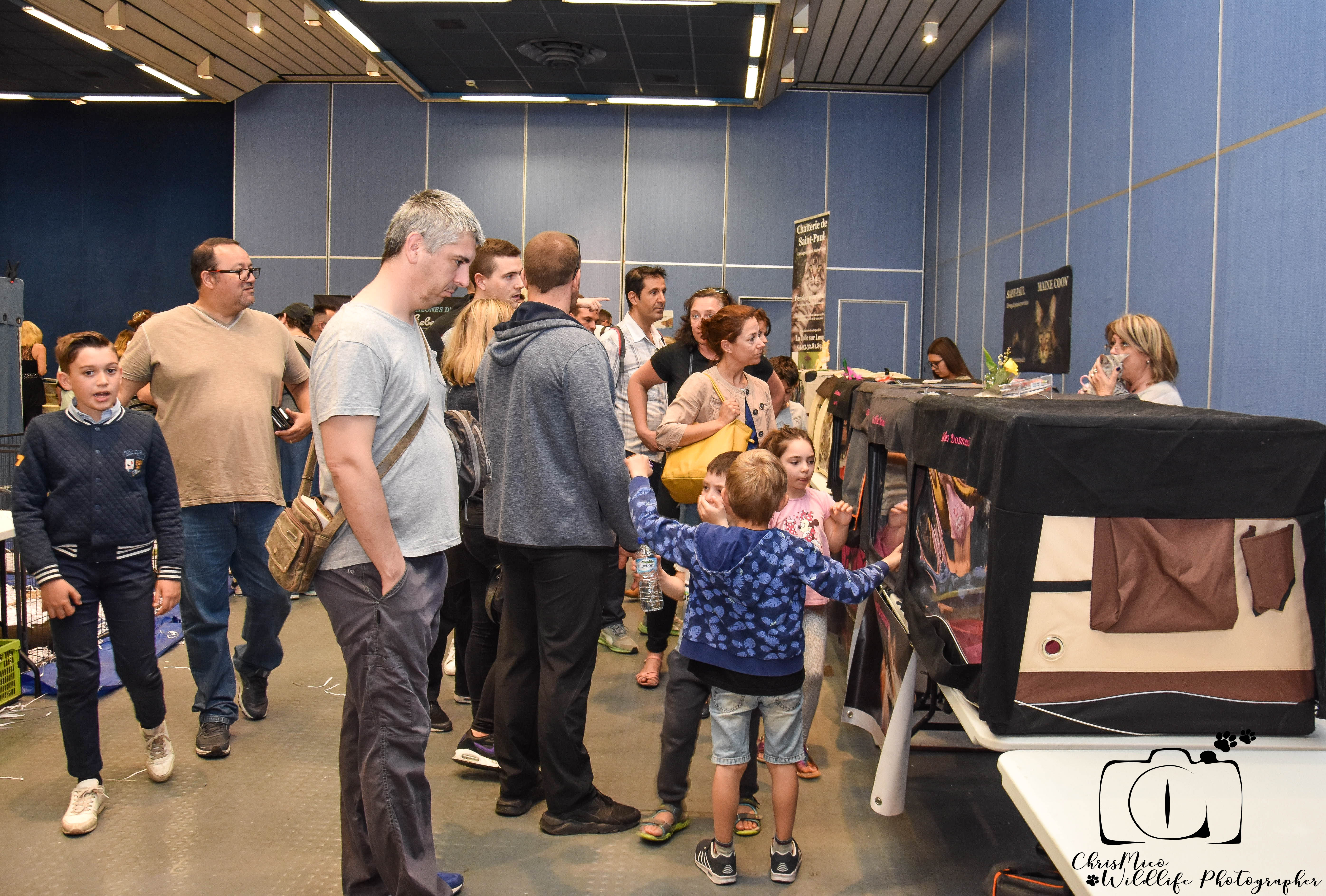 salon des Animaux Nice
