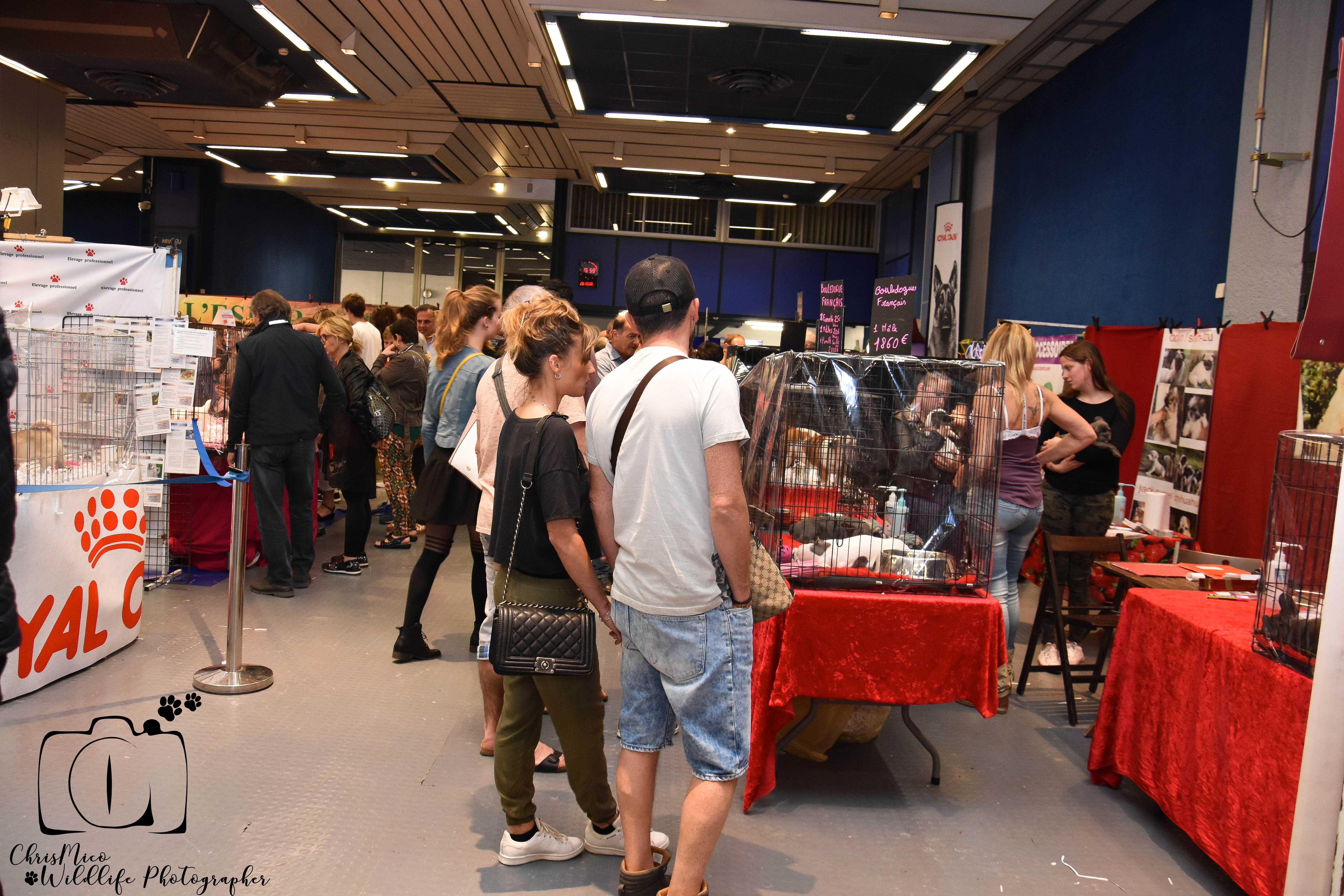 salon des Animaux Nice