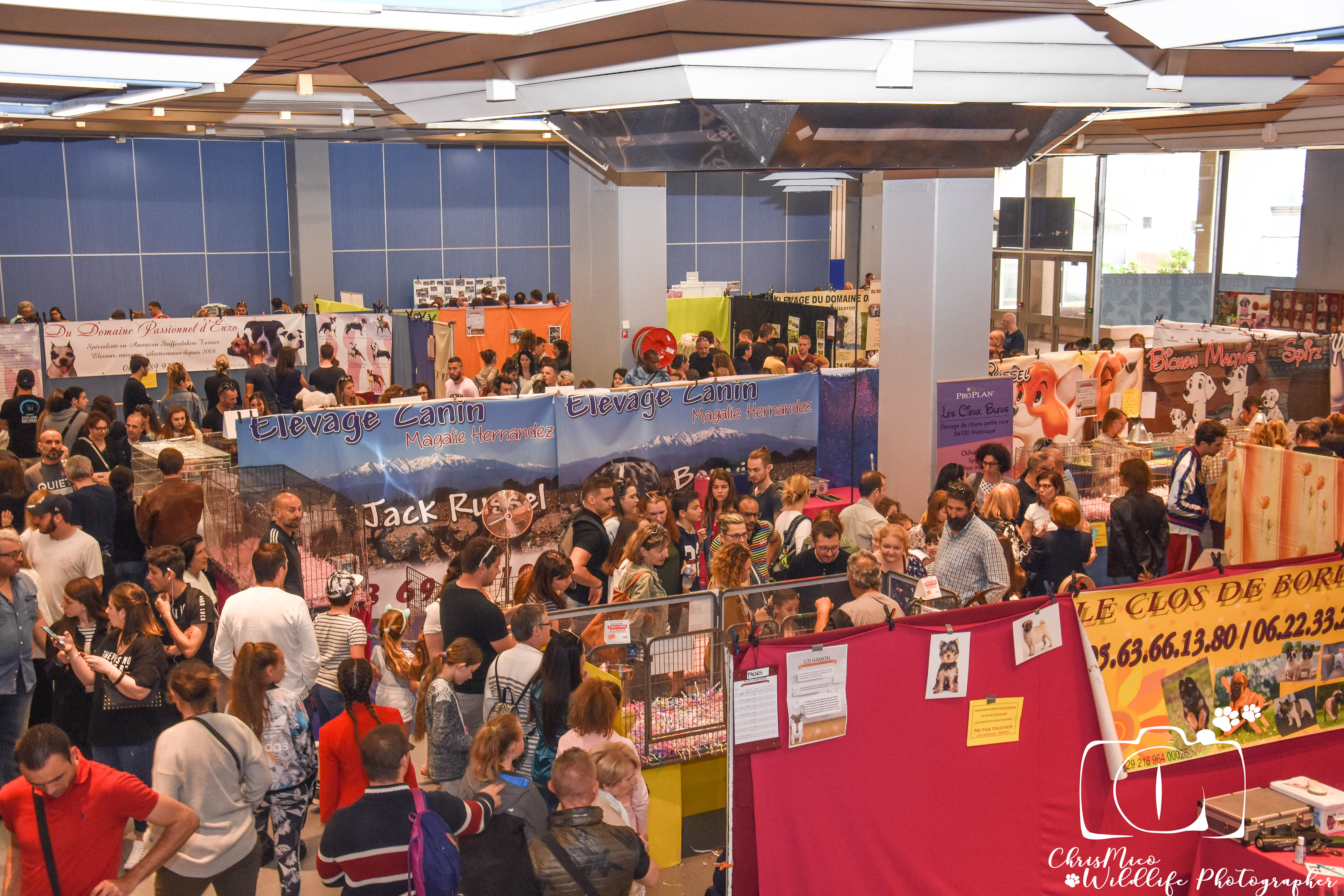 salon des Animaux Nice
