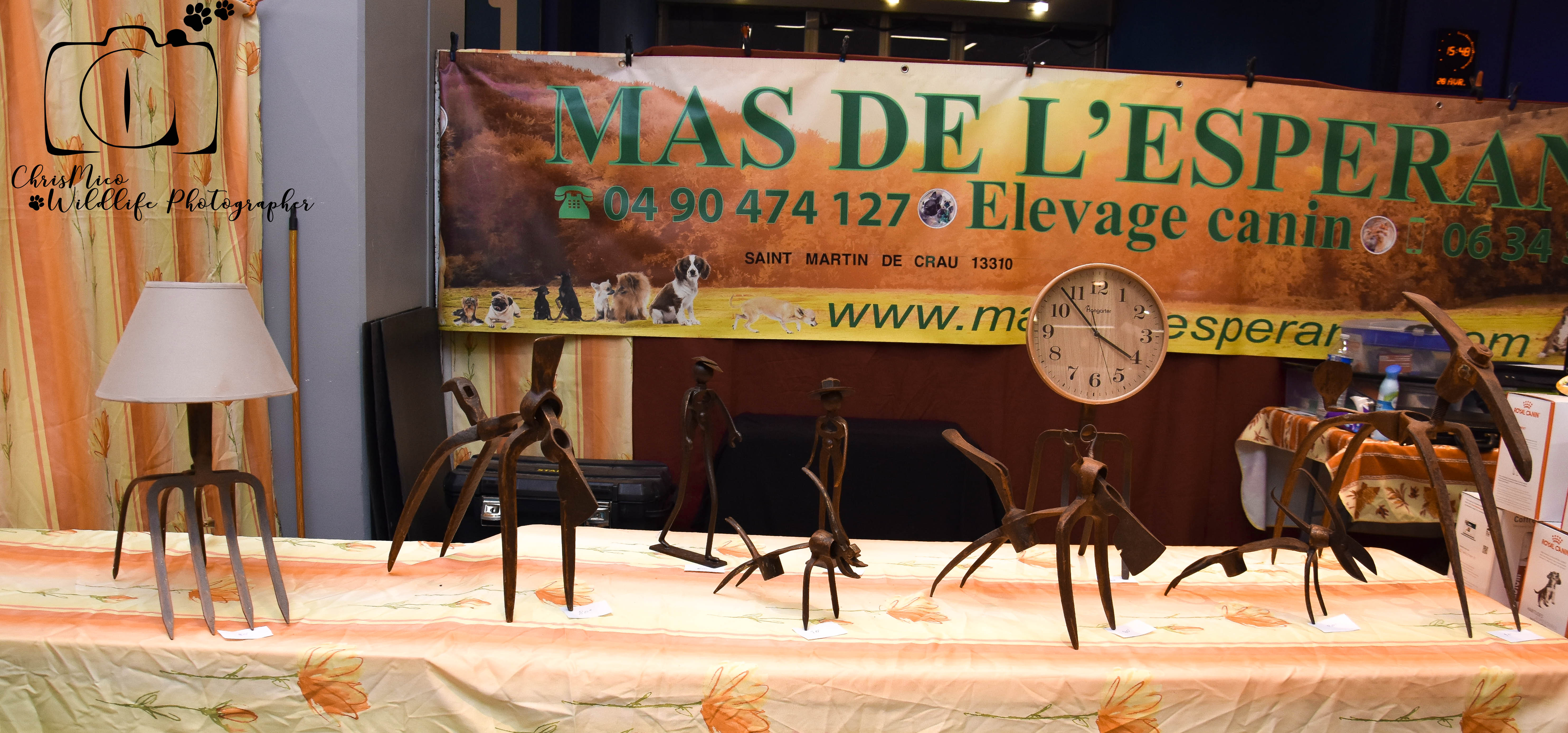 salon des Animaux Nice