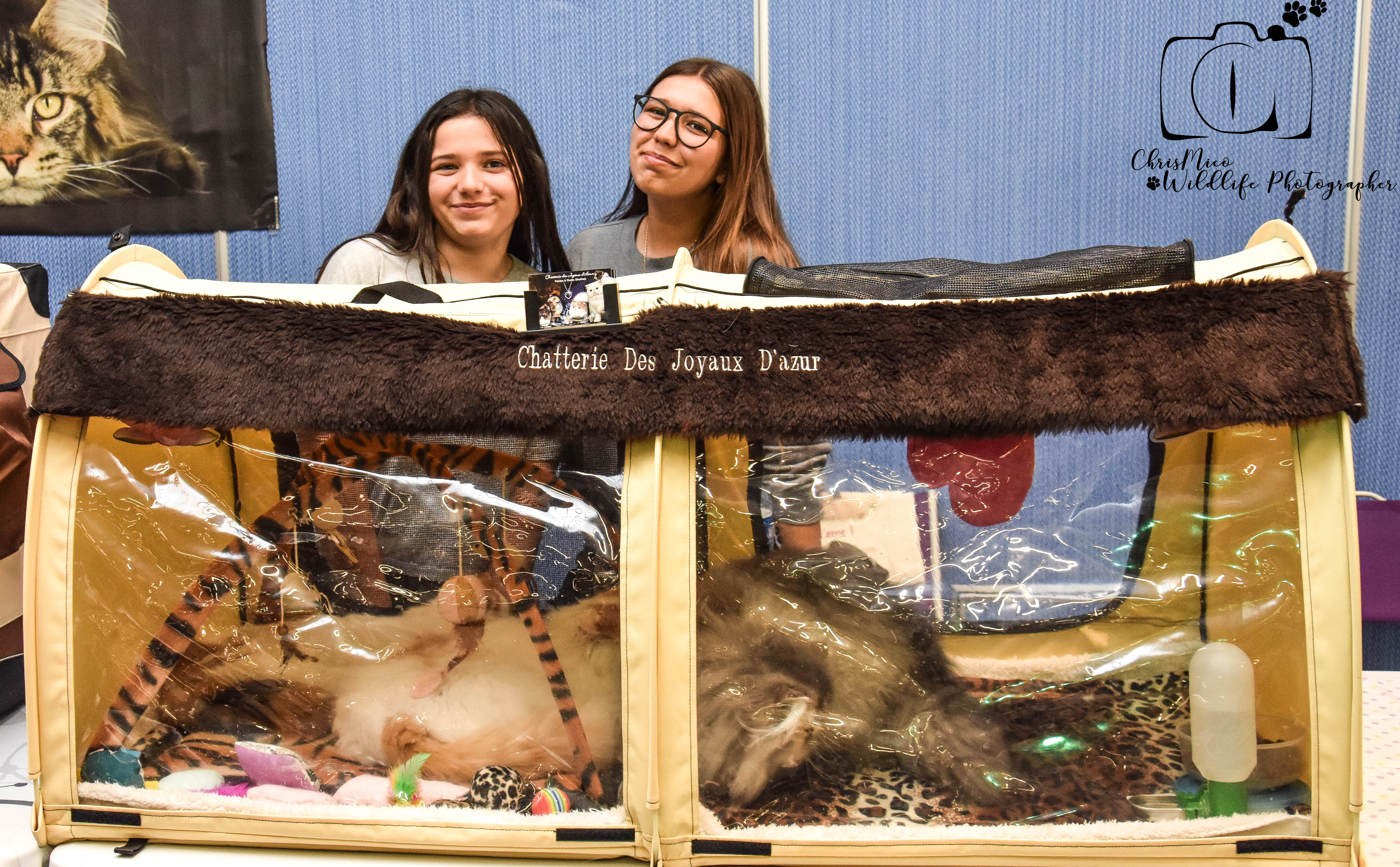 salon des Animaux Nice