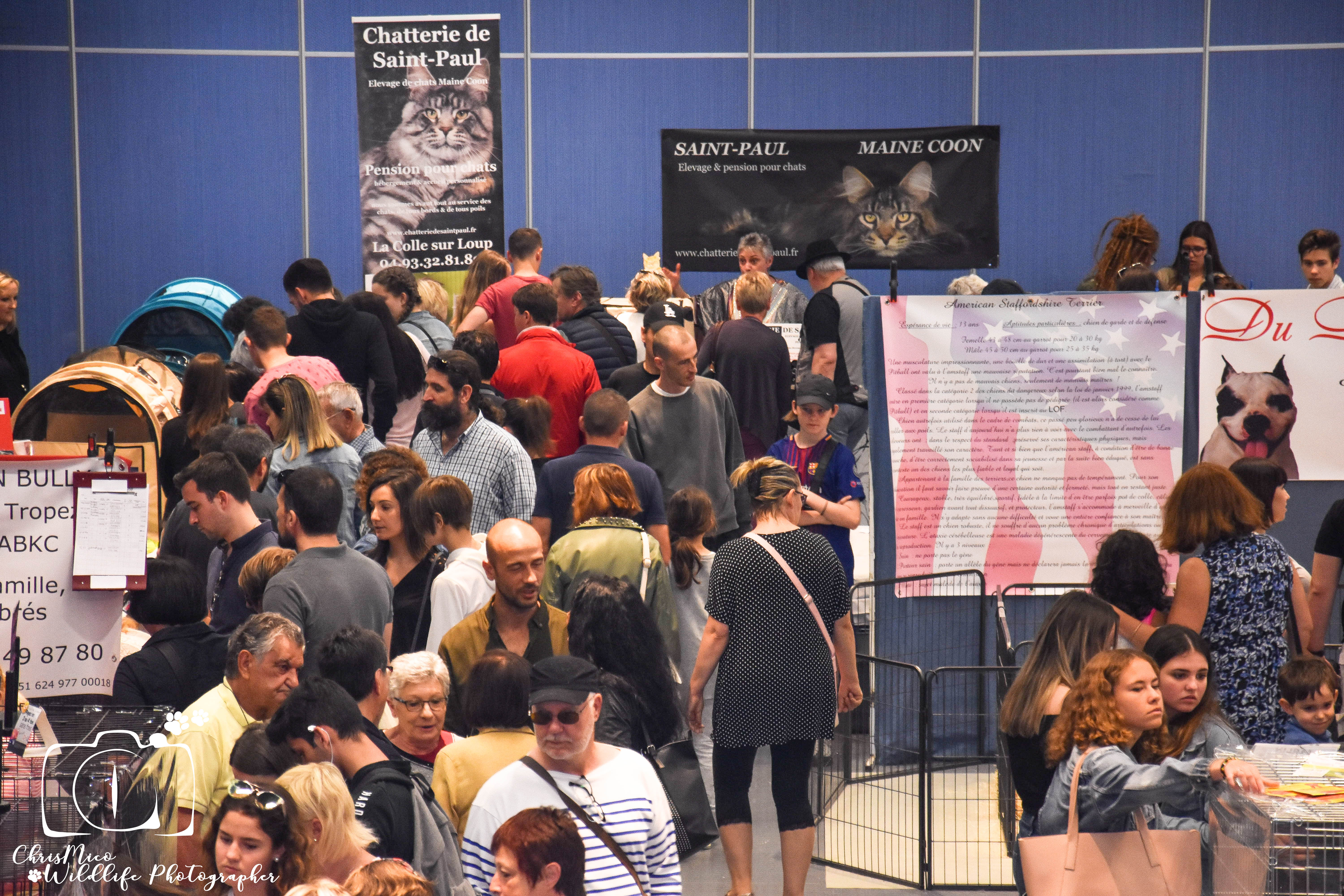 salon des Animaux Nice