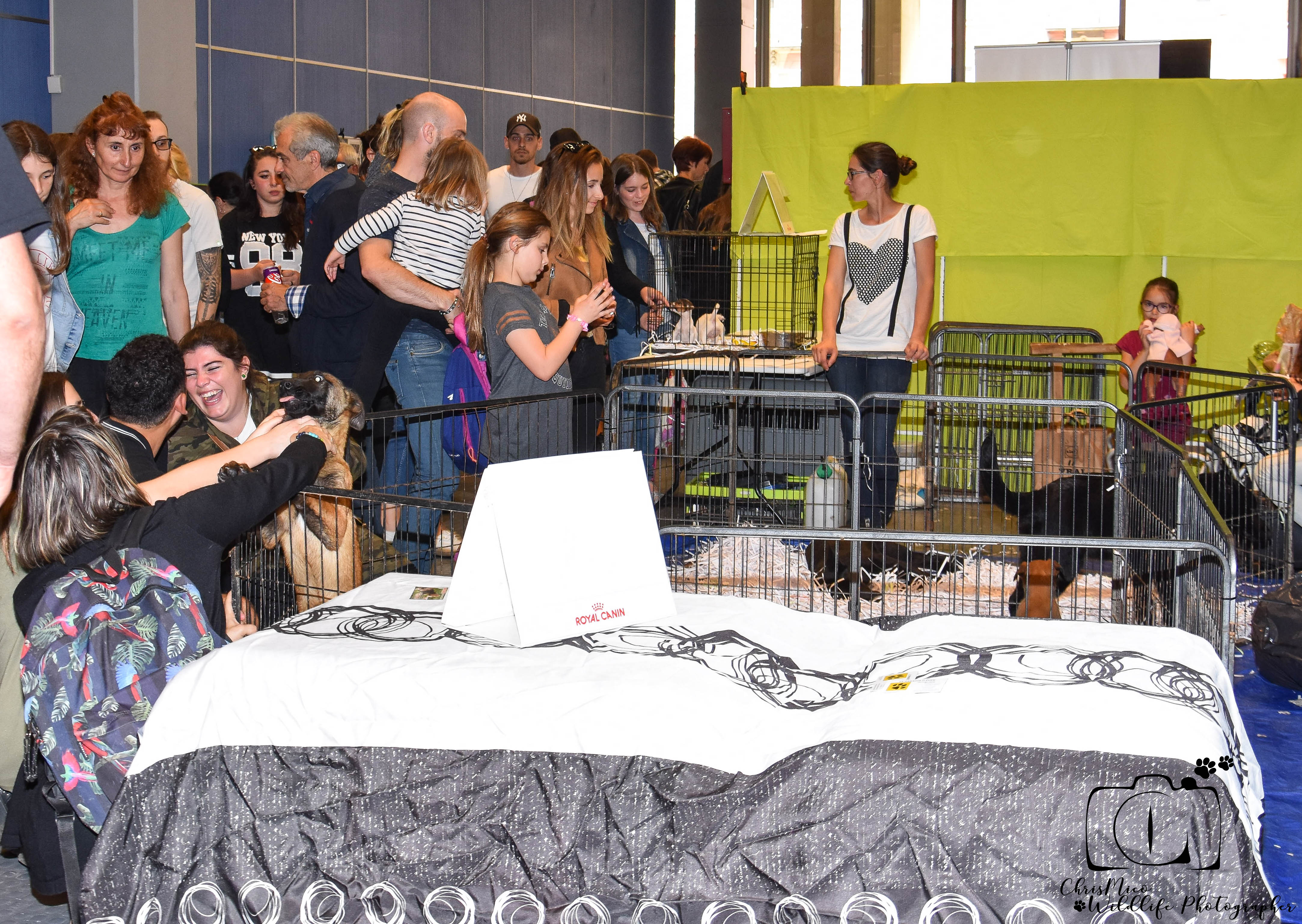 salon des Animaux Nice