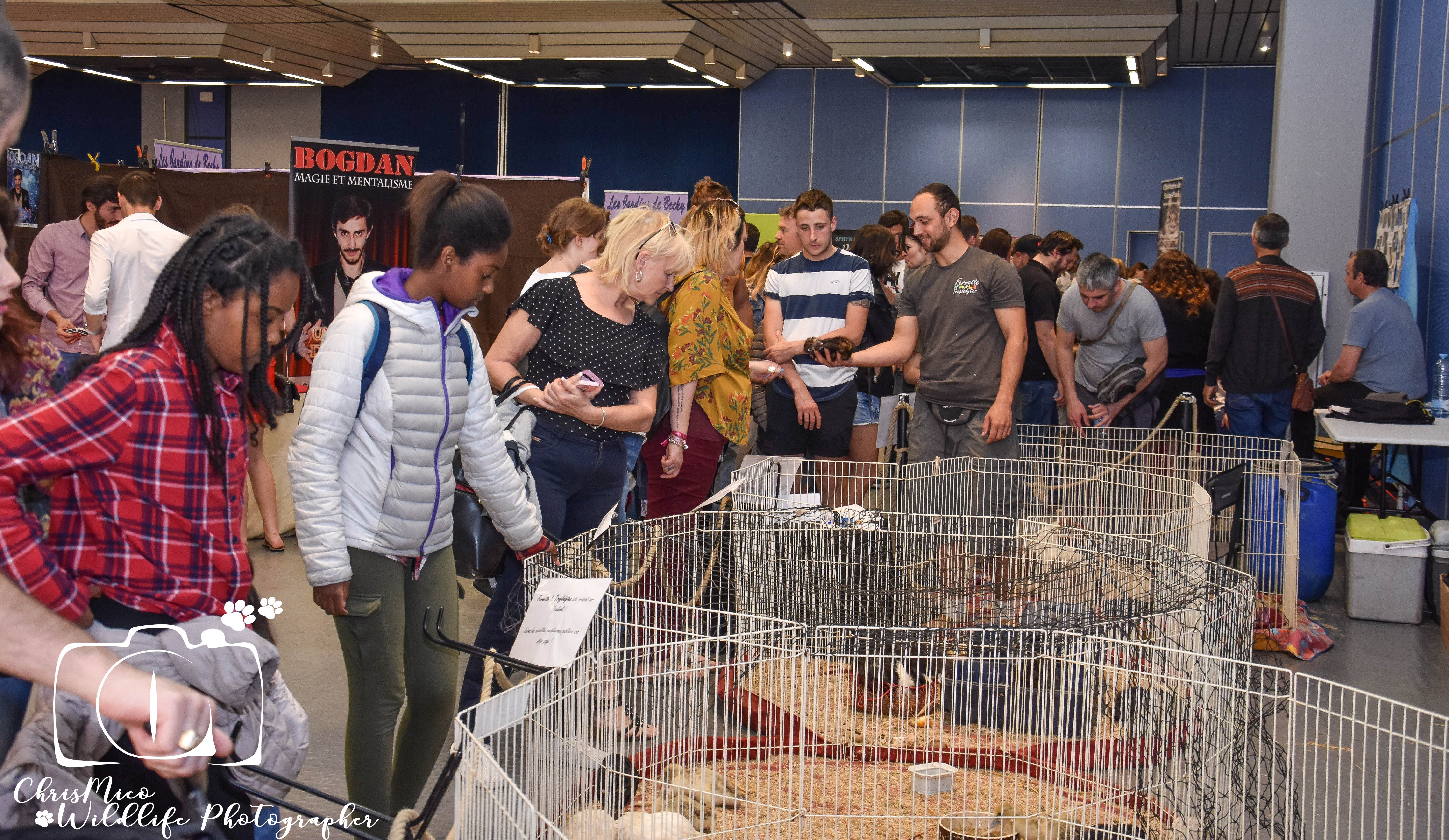salon des Animaux Nice