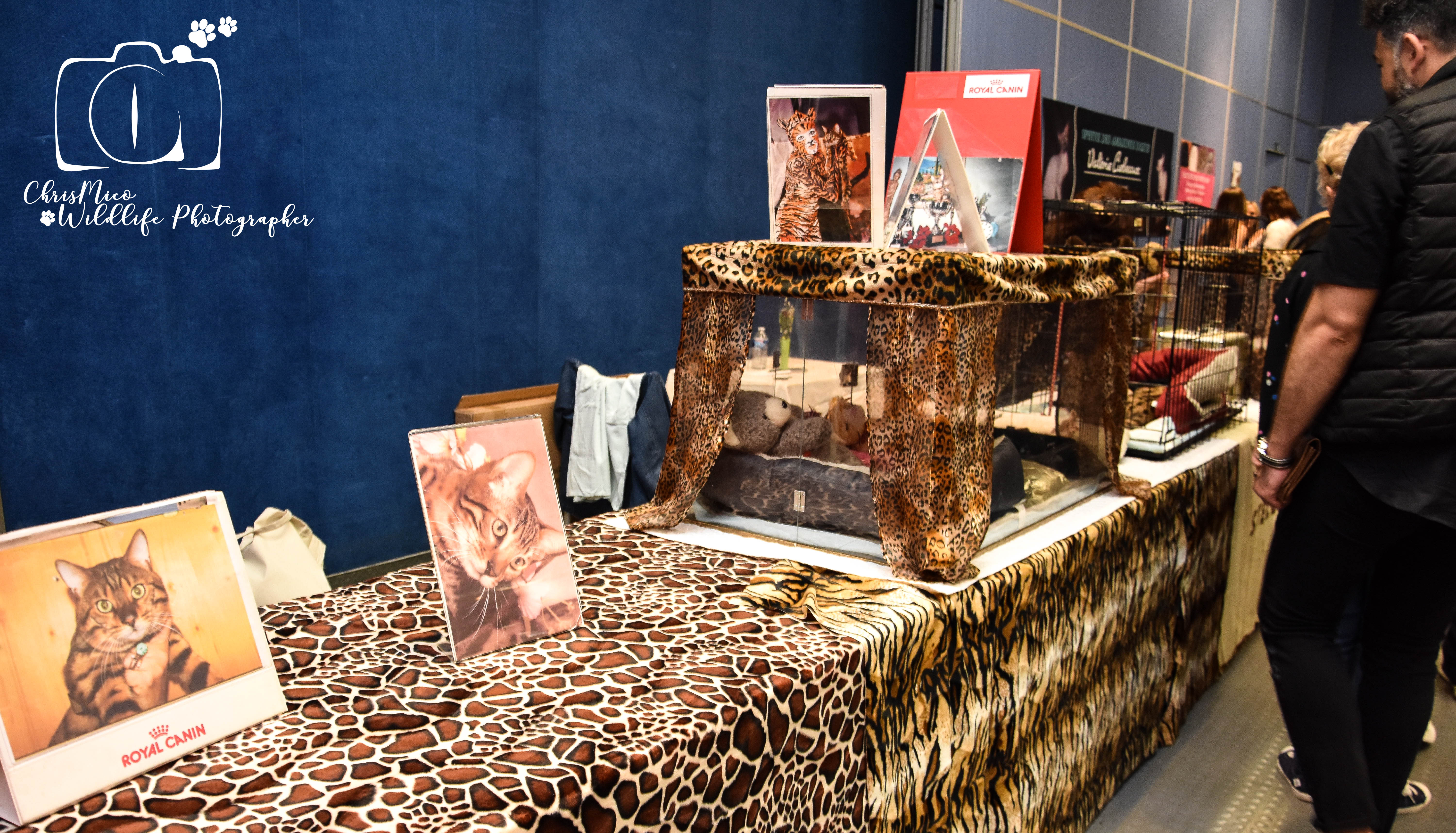 salon des Animaux Nice