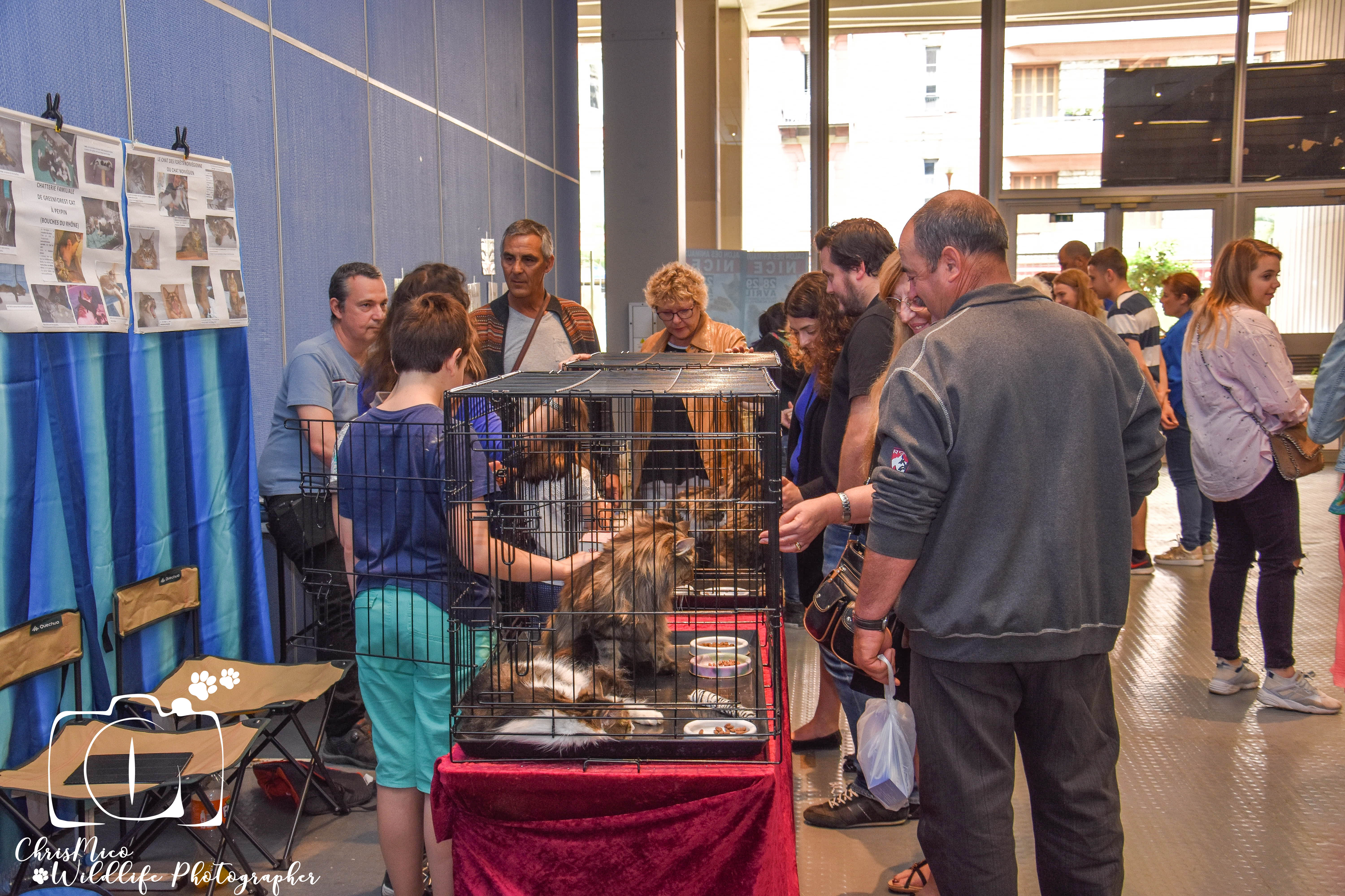salon des Animaux Nice