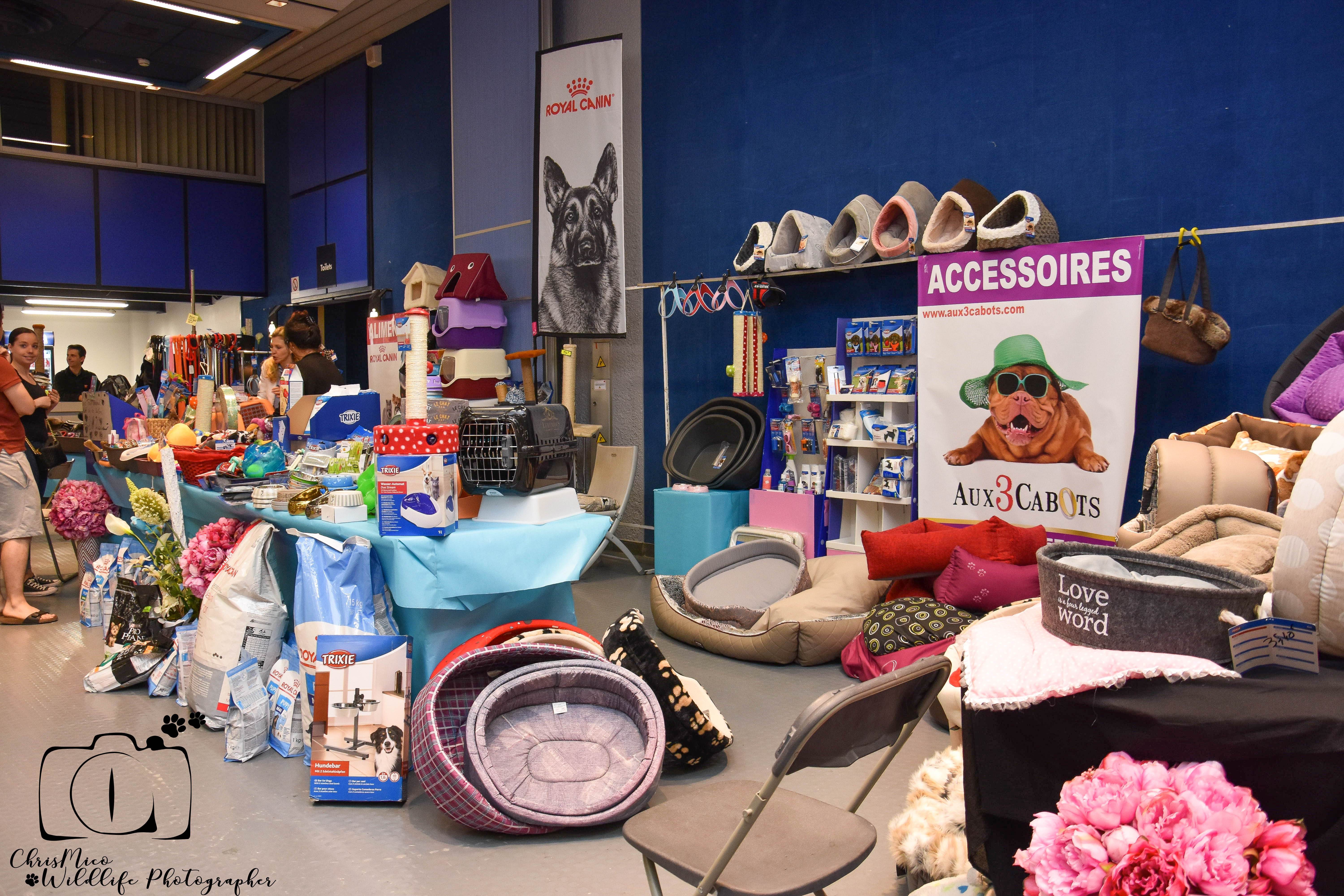 salon des Animaux Nice
