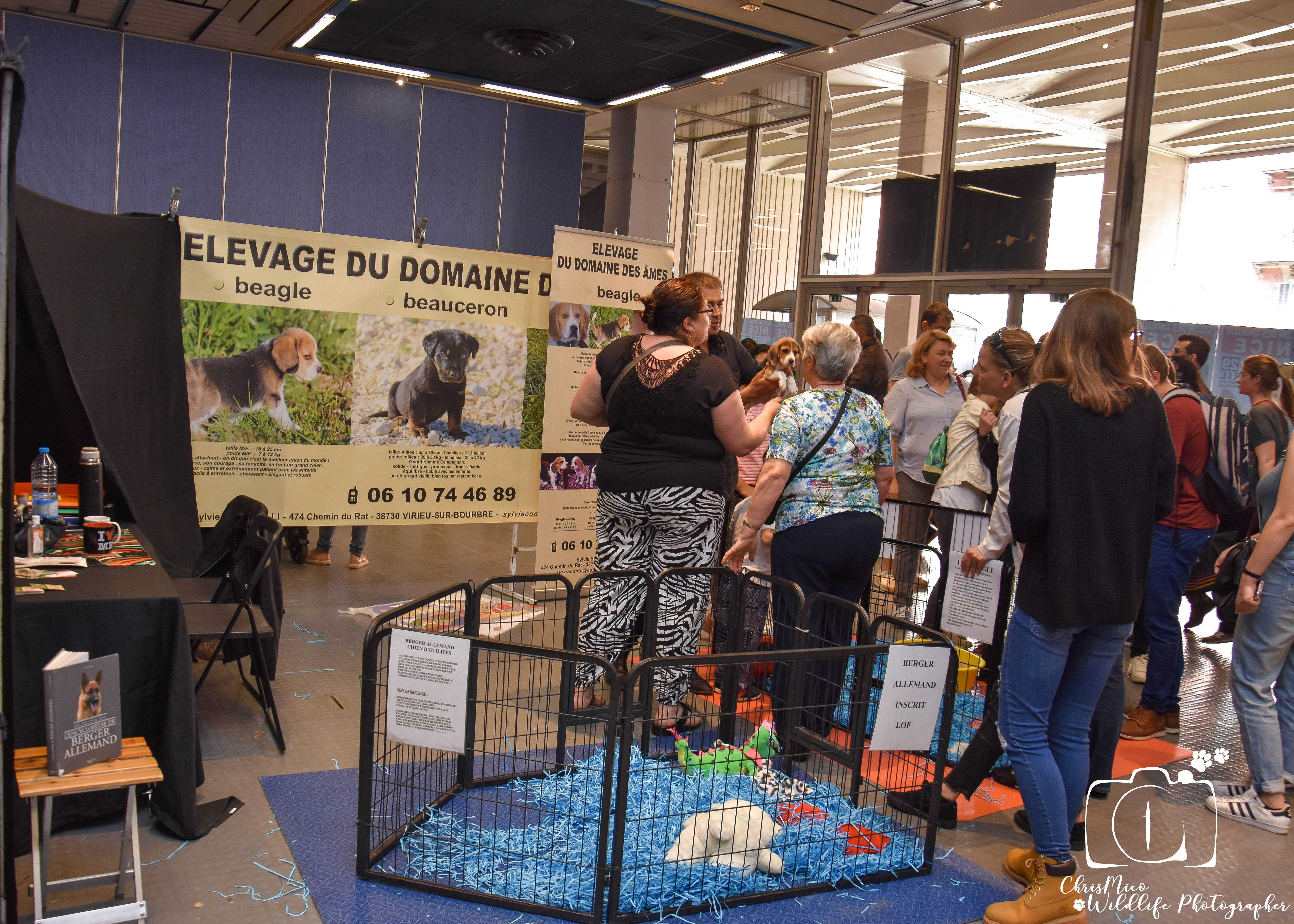 salon des Animaux Nice