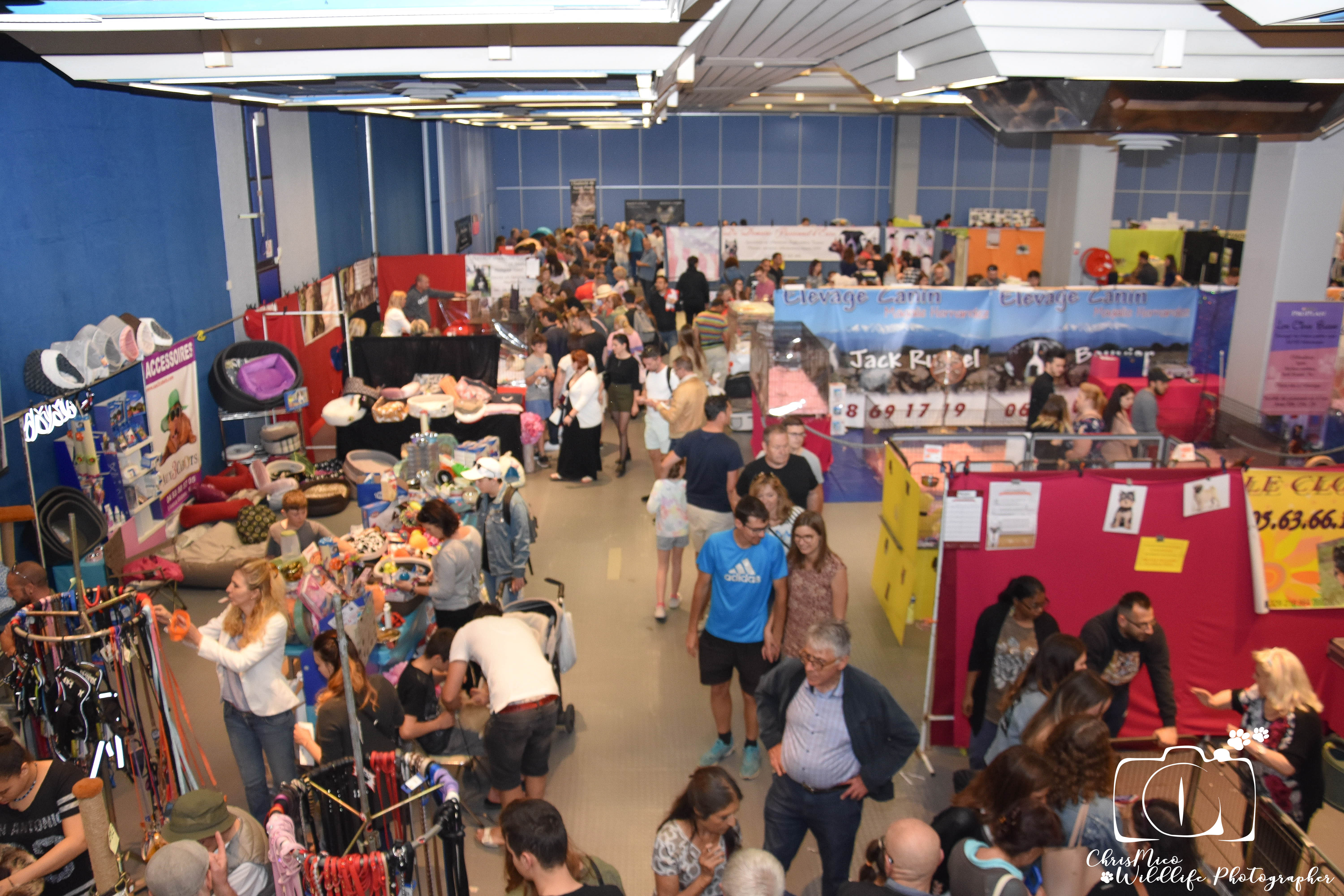 salon des Animaux Nice