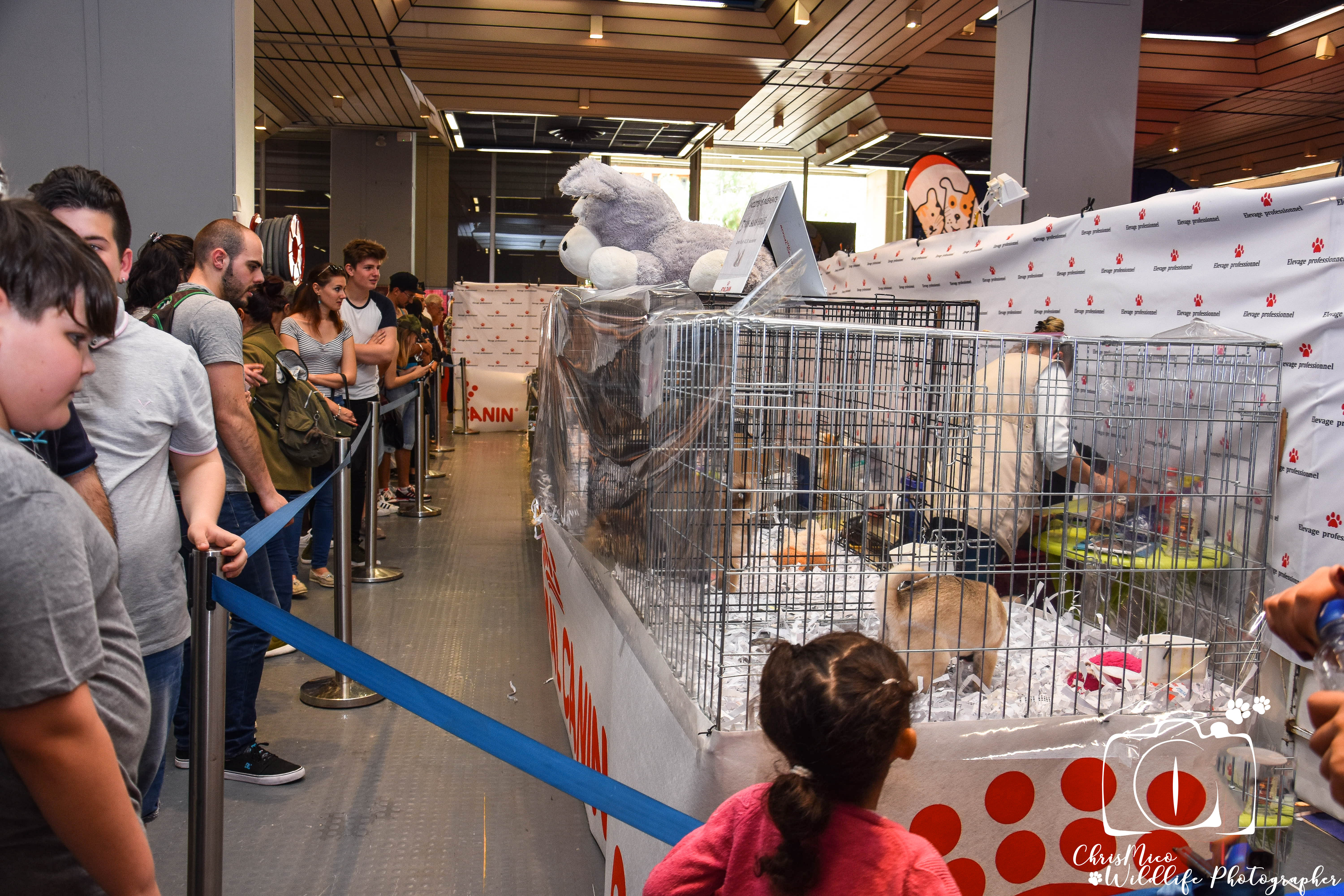 salon des Animaux Nice