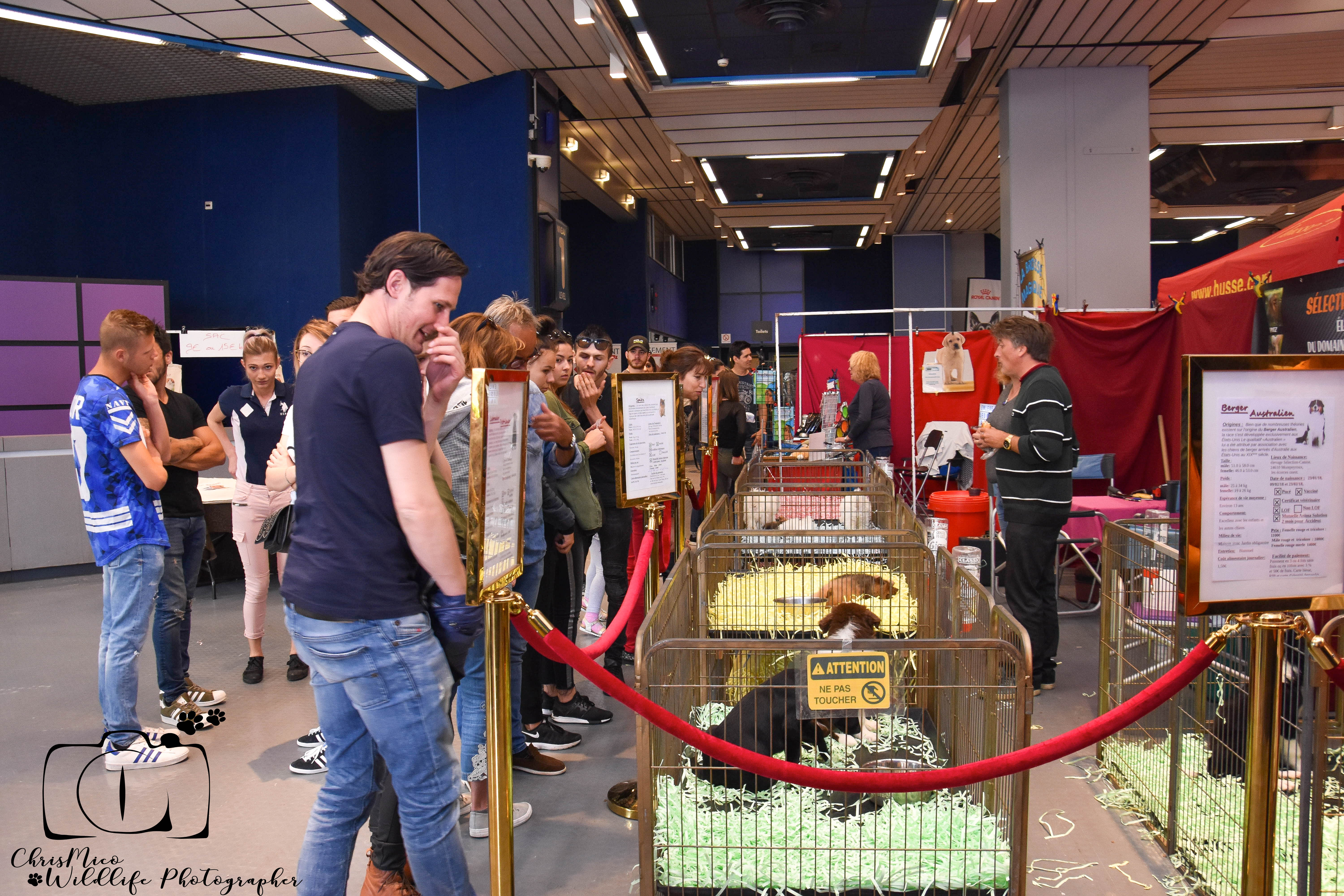 salon des Animaux Nice