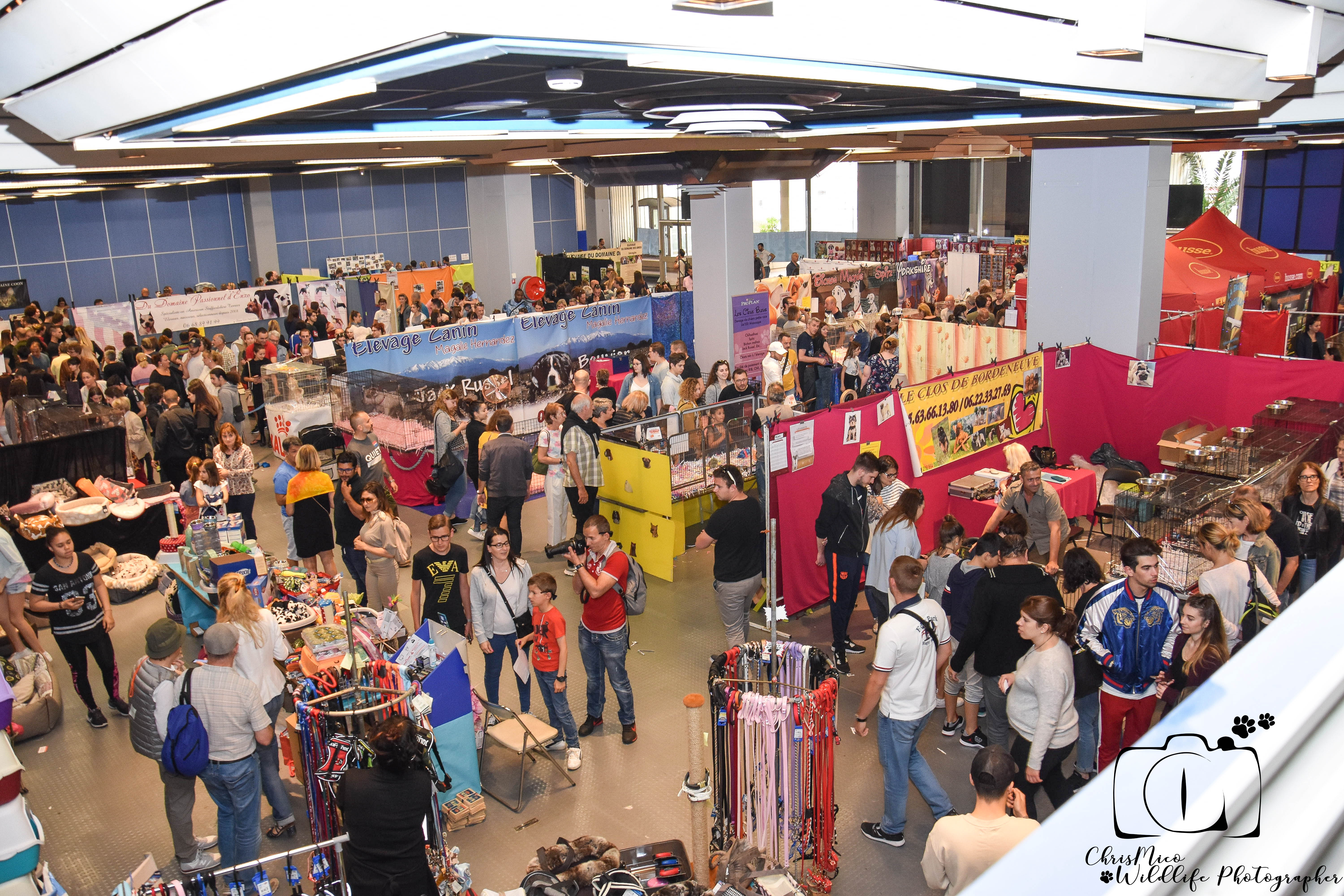salon des Animaux Nice