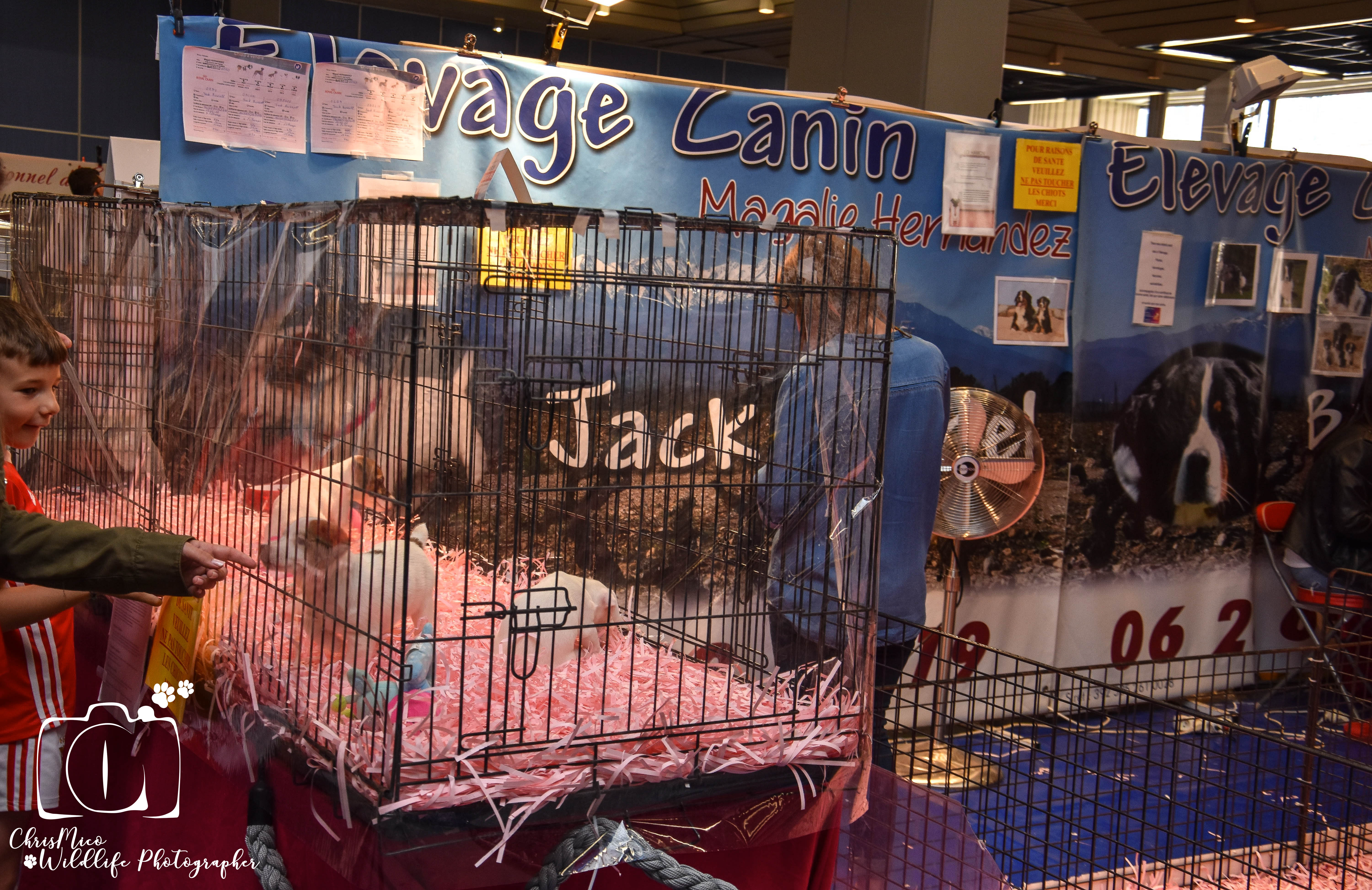 salon des Animaux Nice