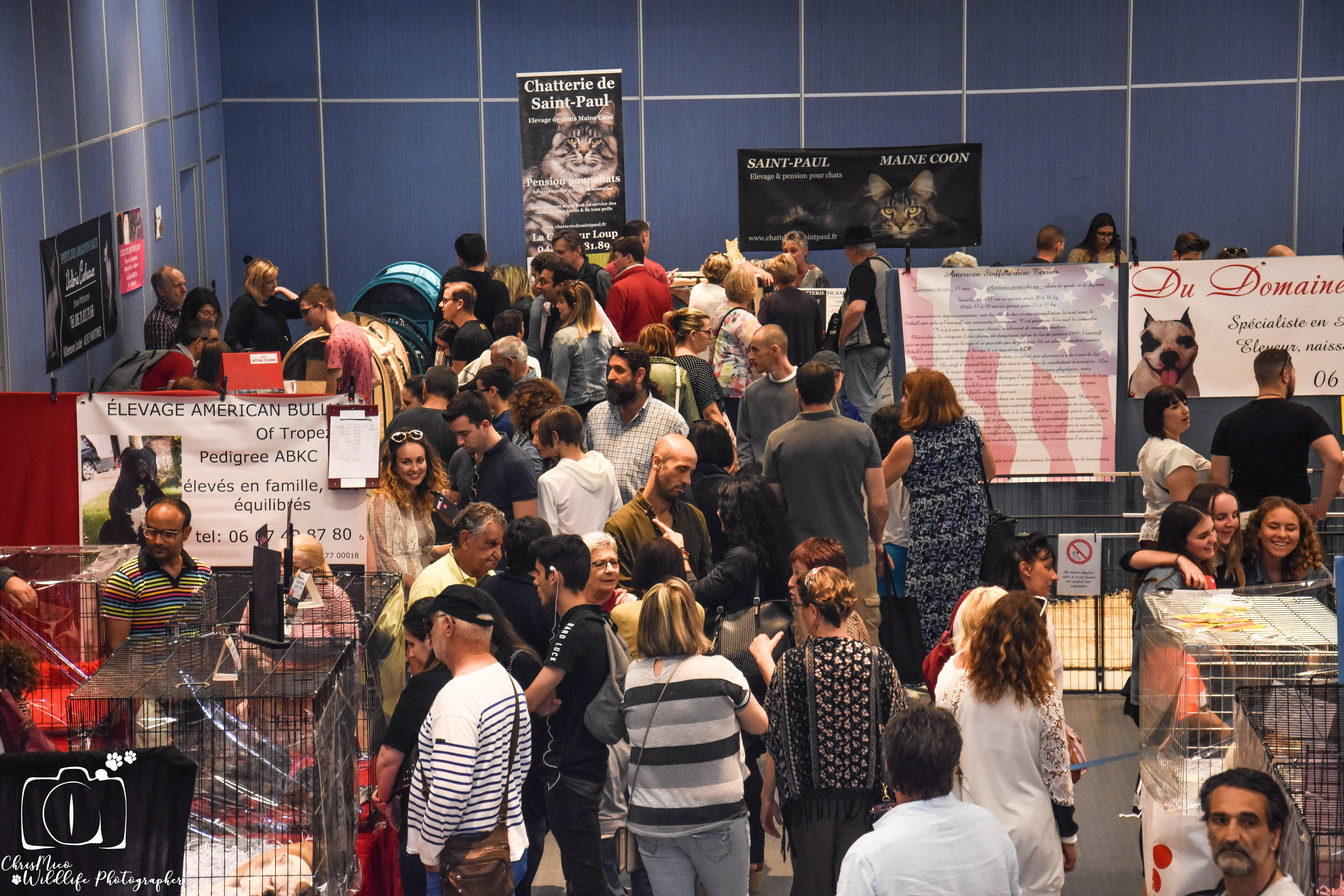 salon des Animaux Nice