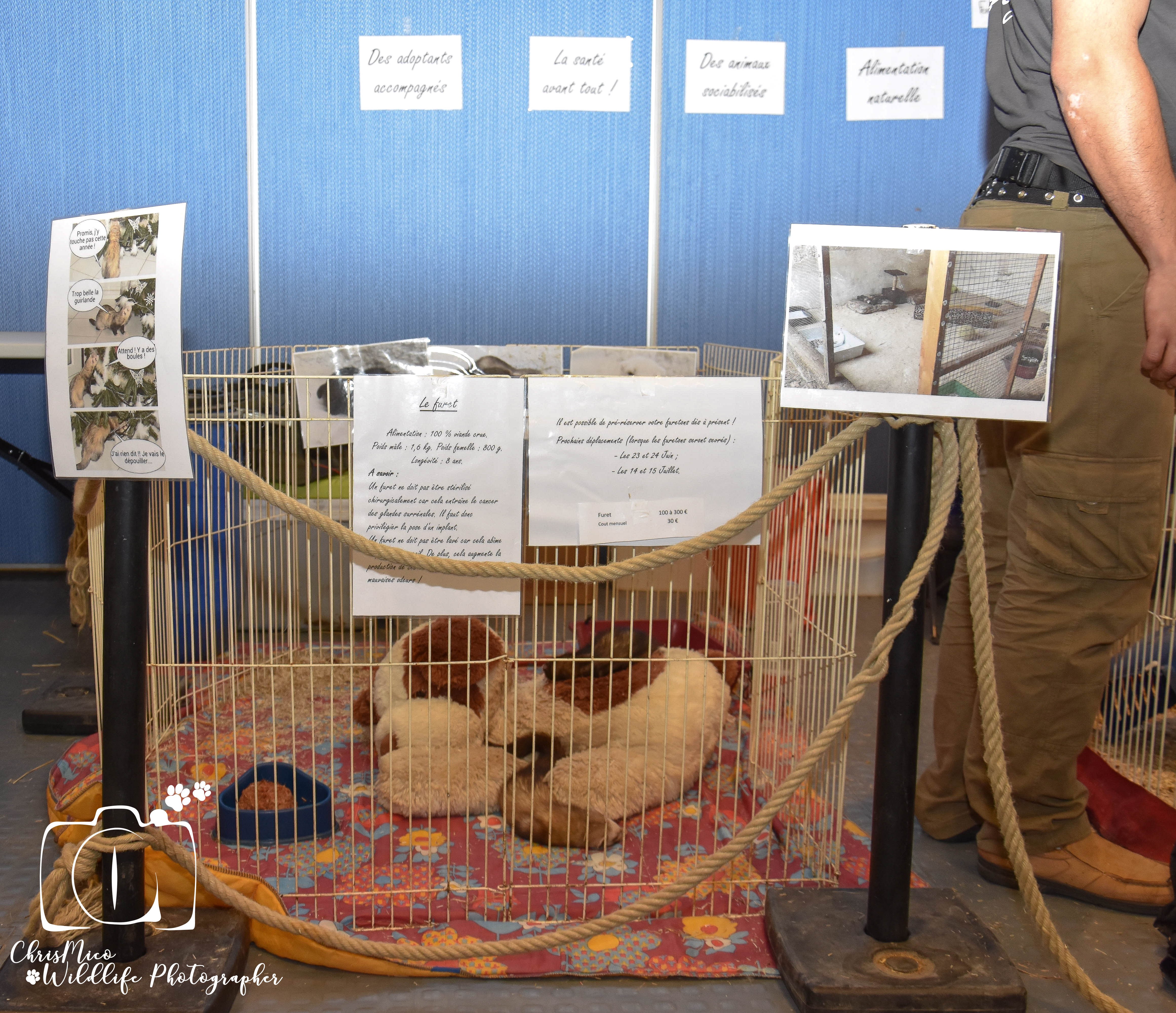 salon des Animaux Nice