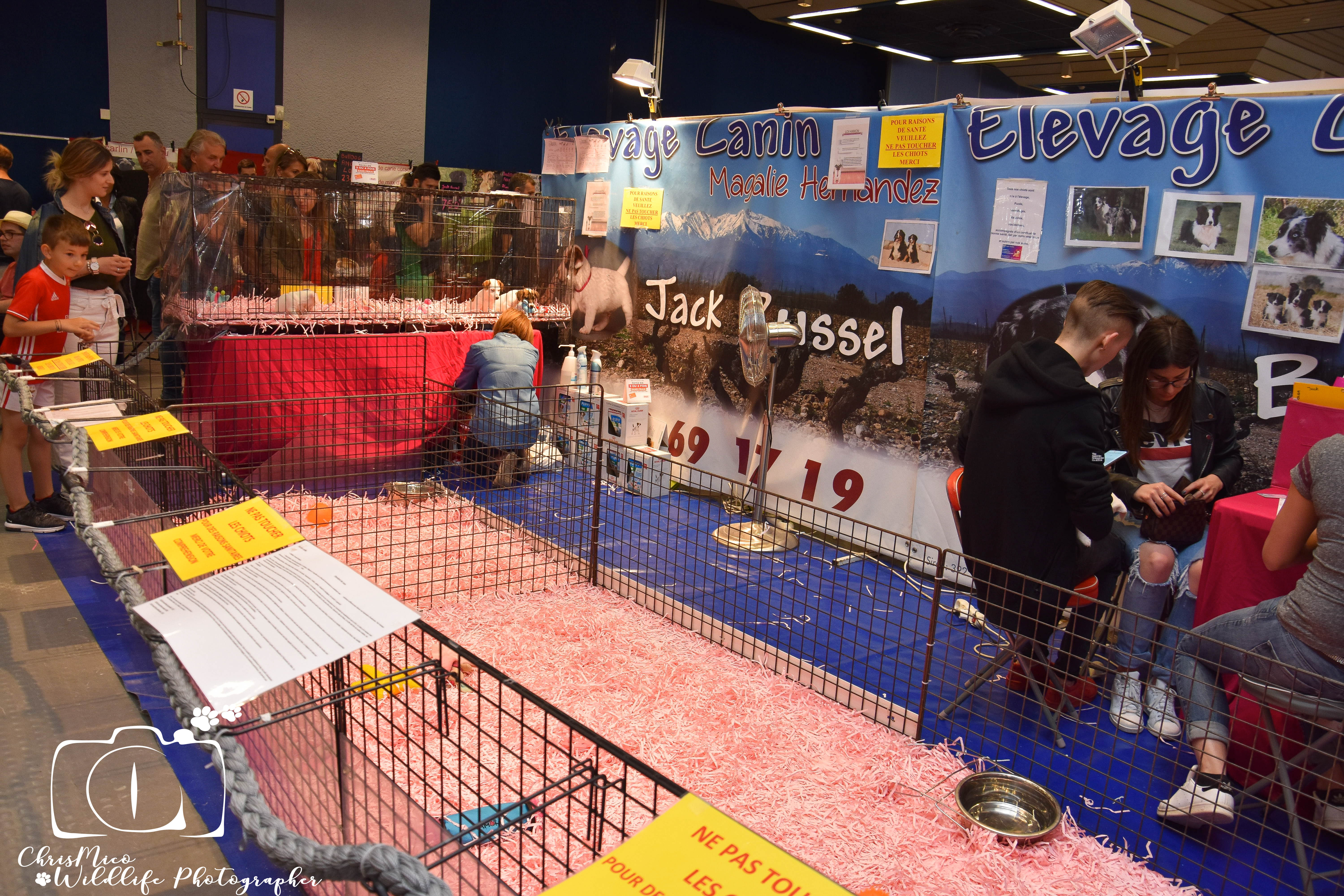 salon des Animaux Nice