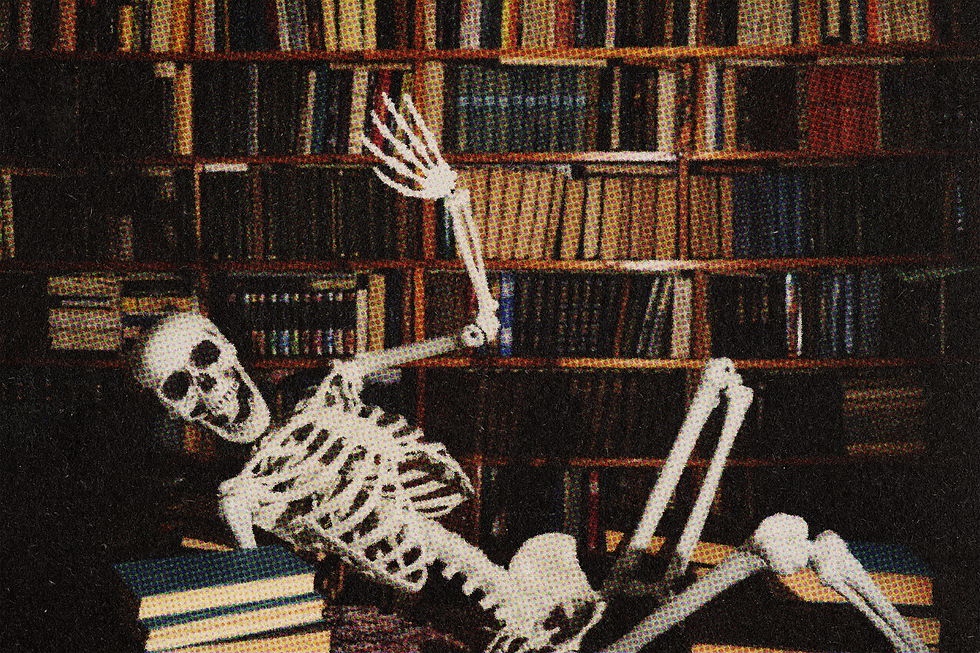 skeleton library.png