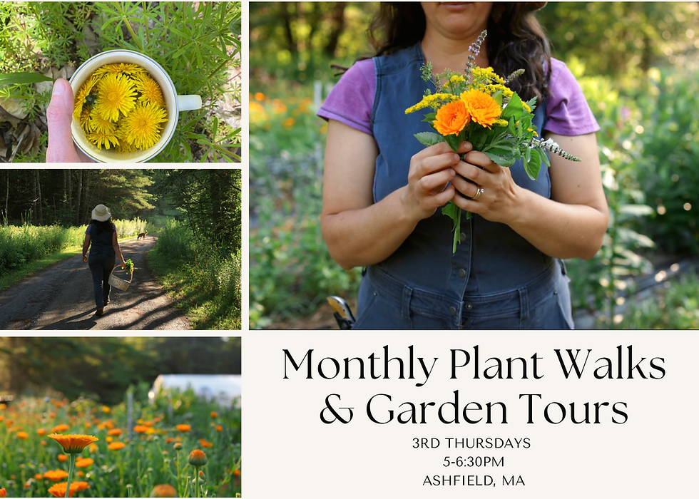 Monthly Plant Walks & Garden Tours