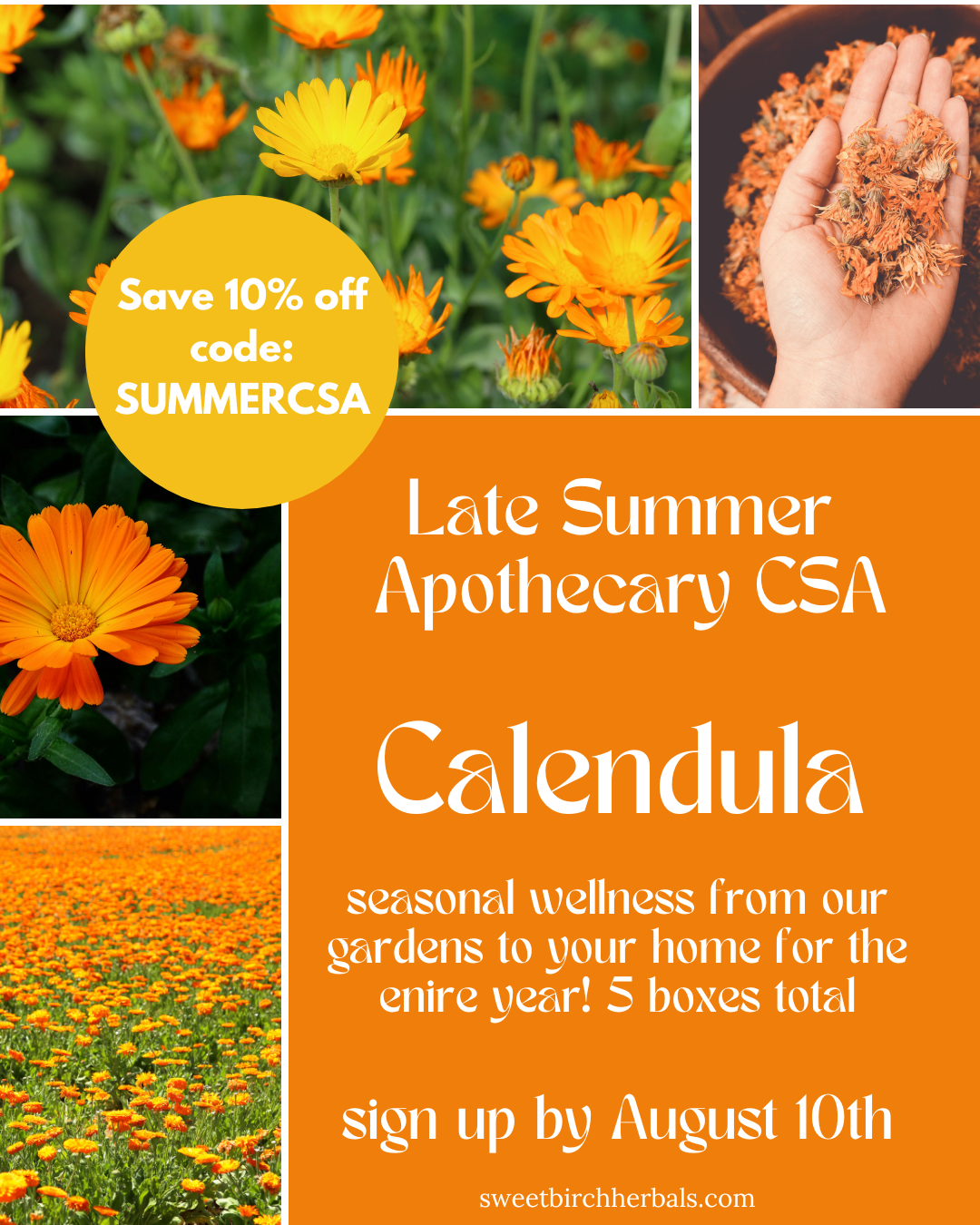 Apothecary CSA Box