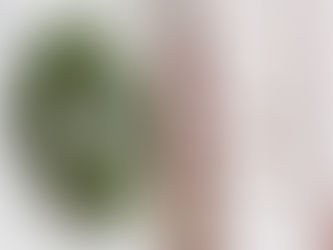 Creating Winter Cordials and DIY Wreaths Inspired by Western Massachusetts Forests