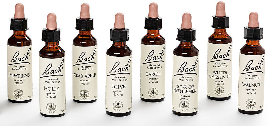 bach flowers.jpg