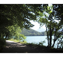 am rande des wolfgangsees #5