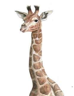 "Giraffe Watercolor"