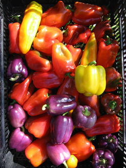Peppers
