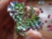 Bismuto