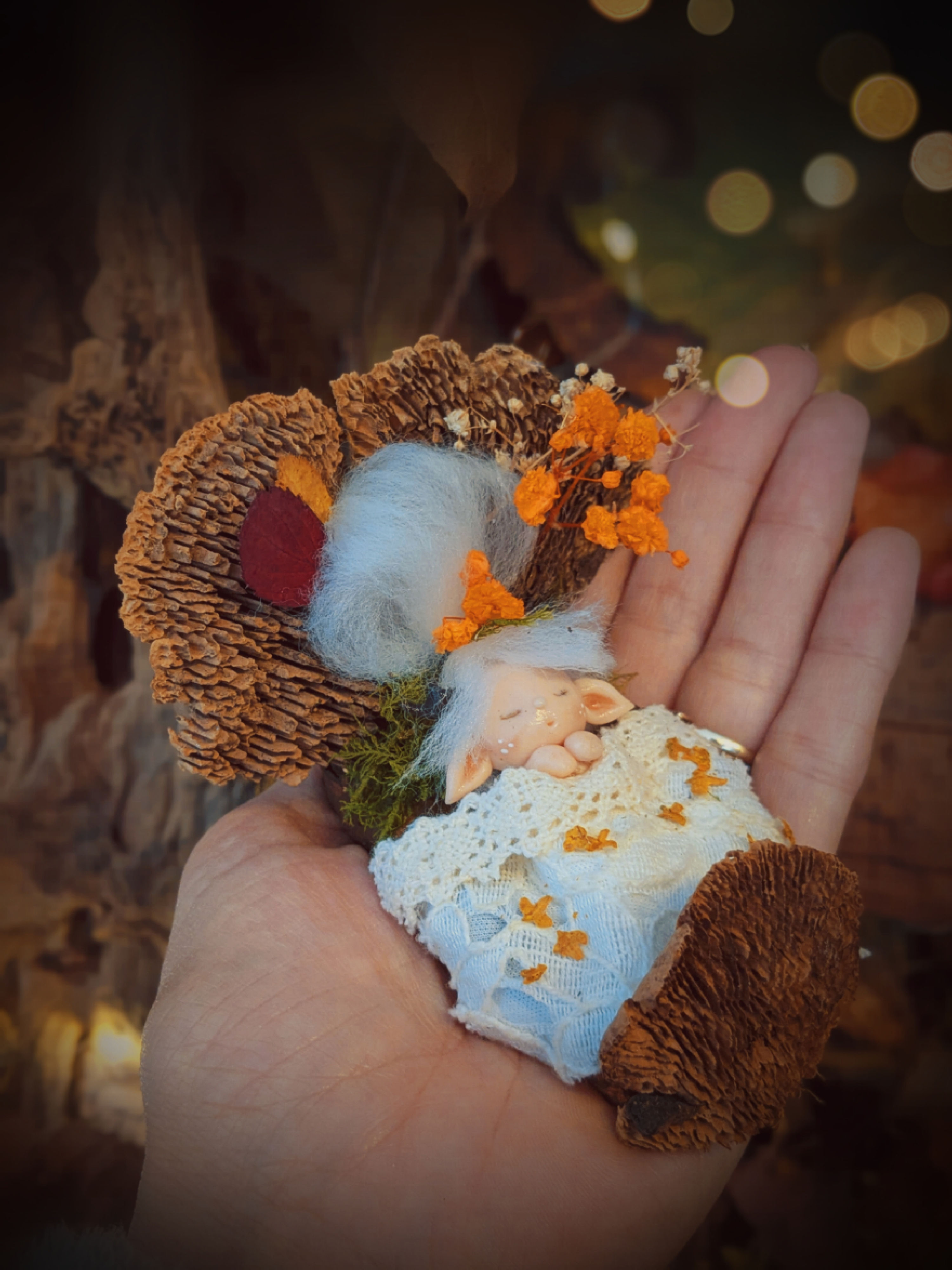 "Rosy " la Trolinette dans son lit des bois