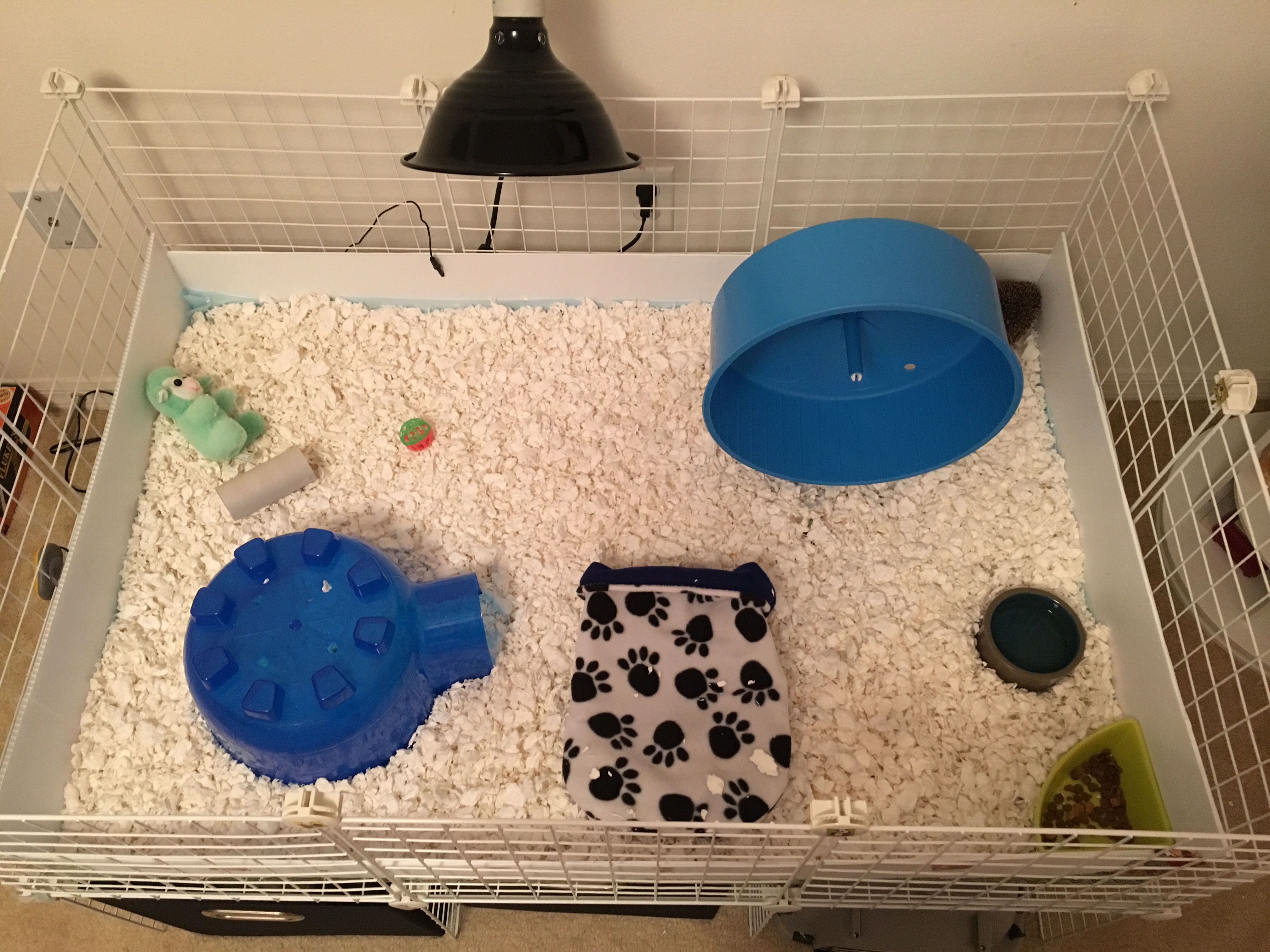 C&C Cage