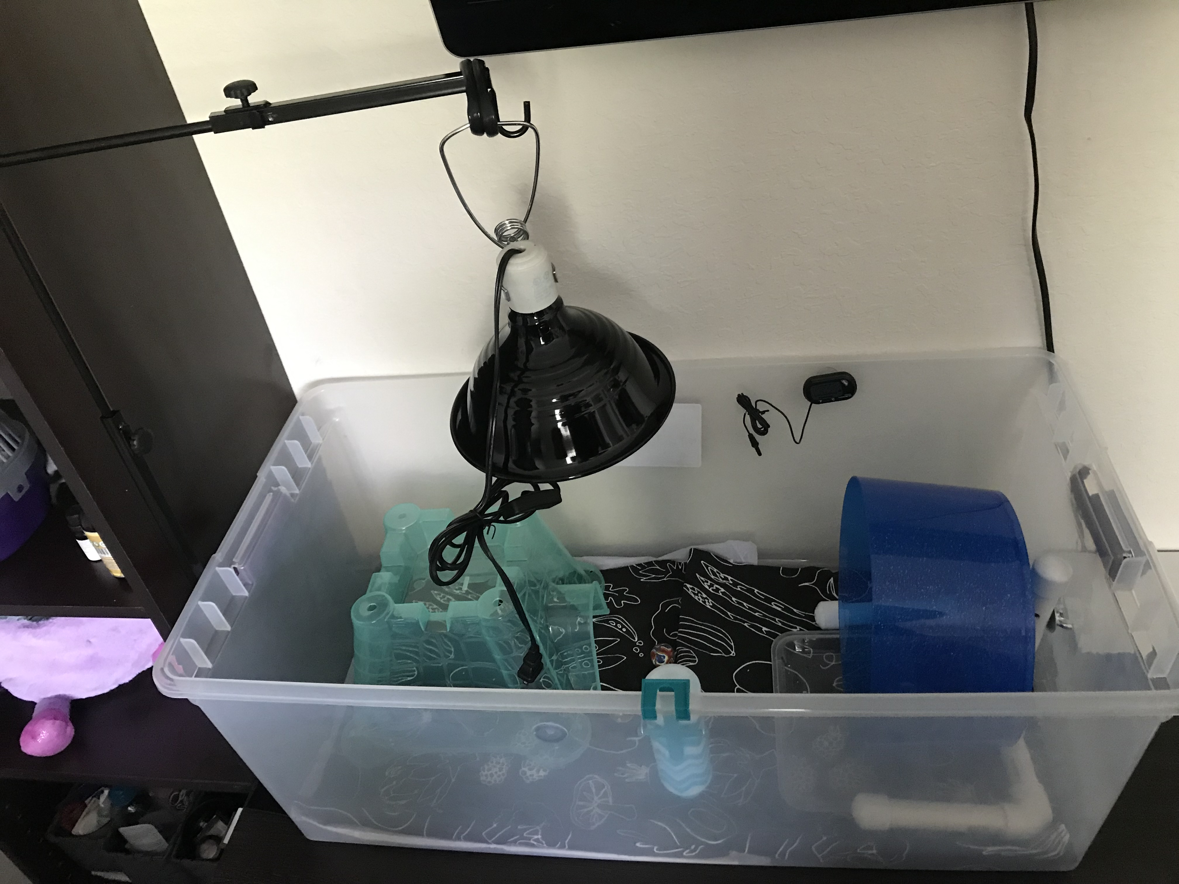 110 Sterilite bin w/lamp holder