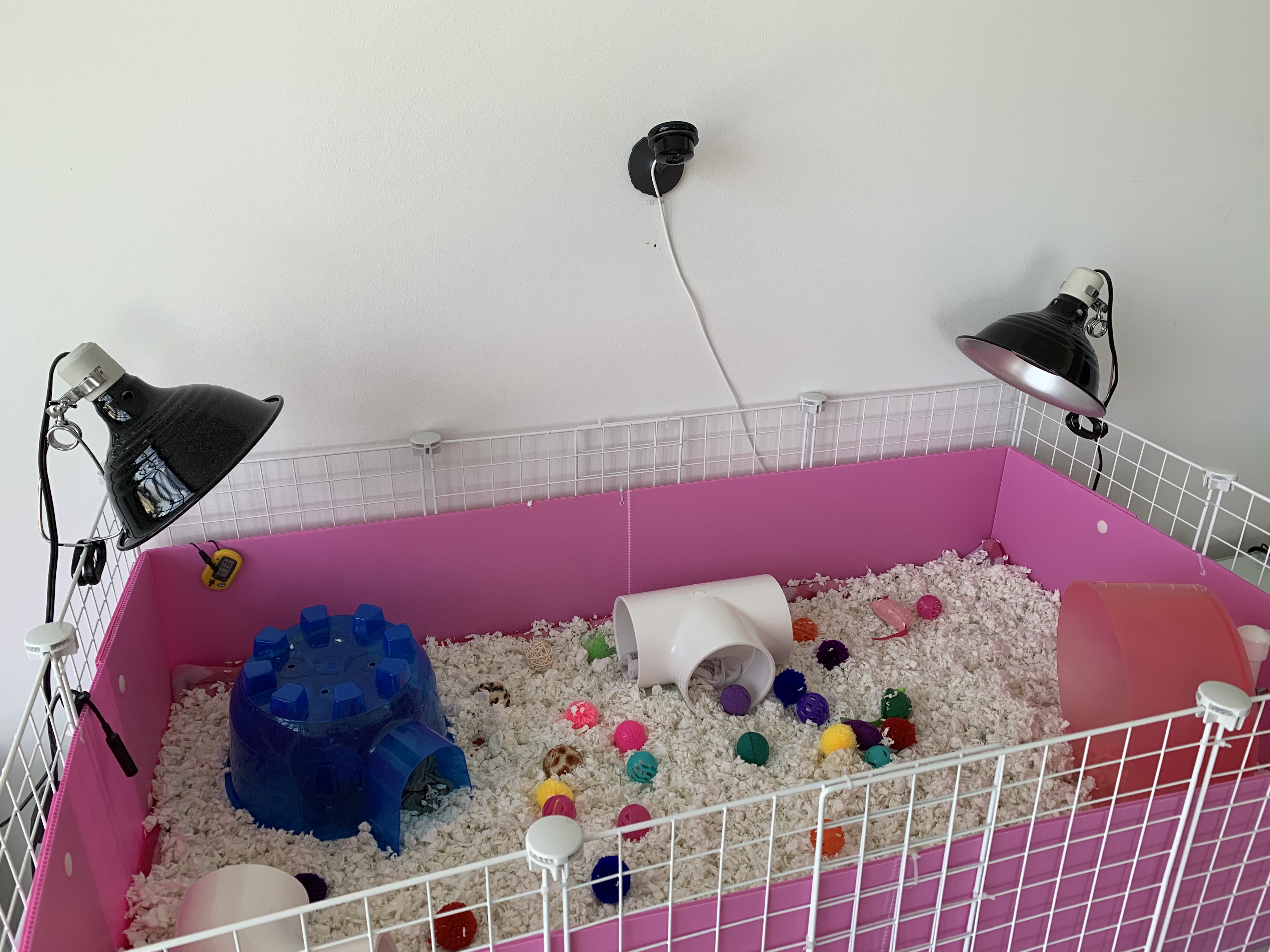 C&C Cage w/surveillance camera