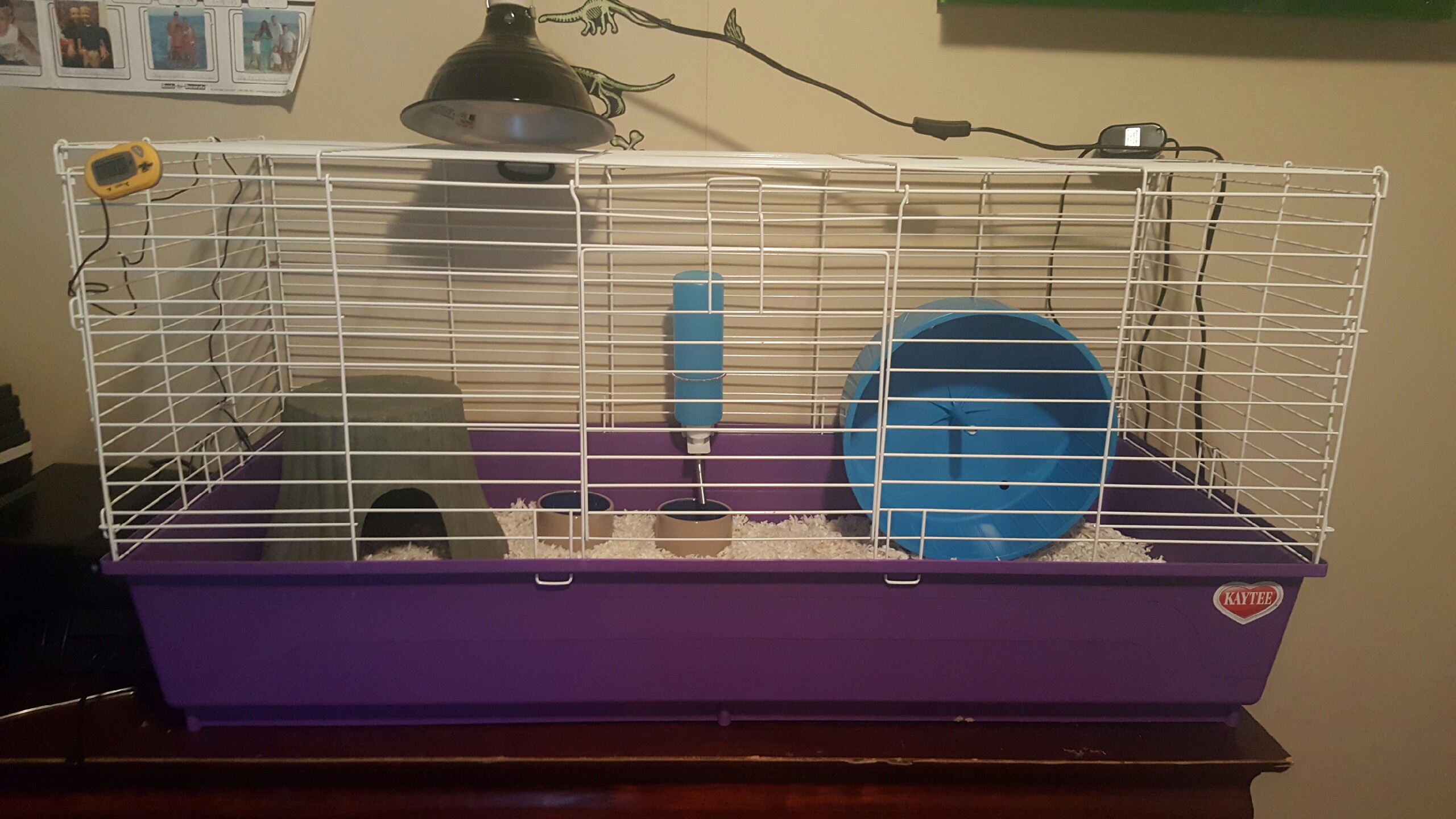 42 x 18 Kaytee Rabbit Home
