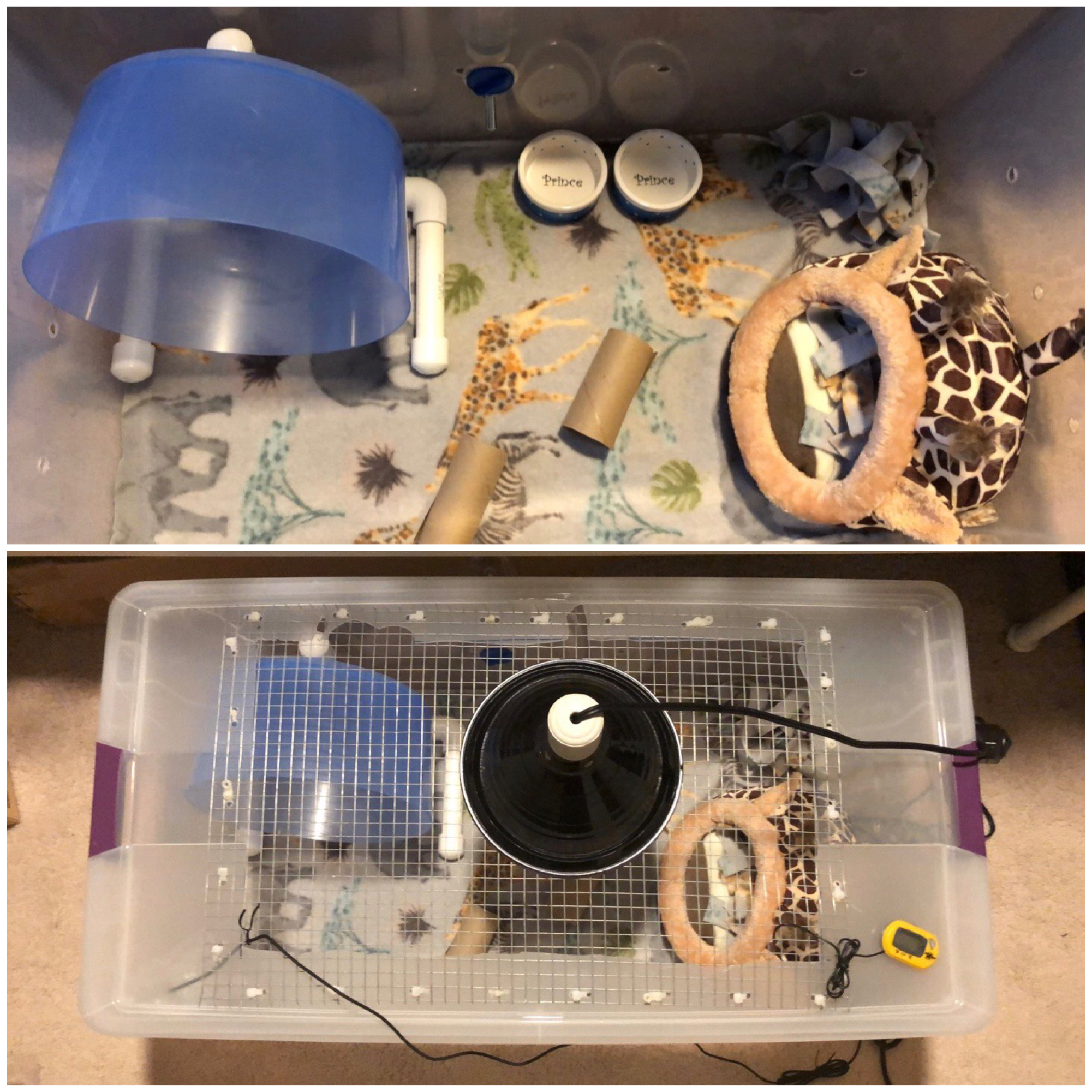 110 Sterilite container