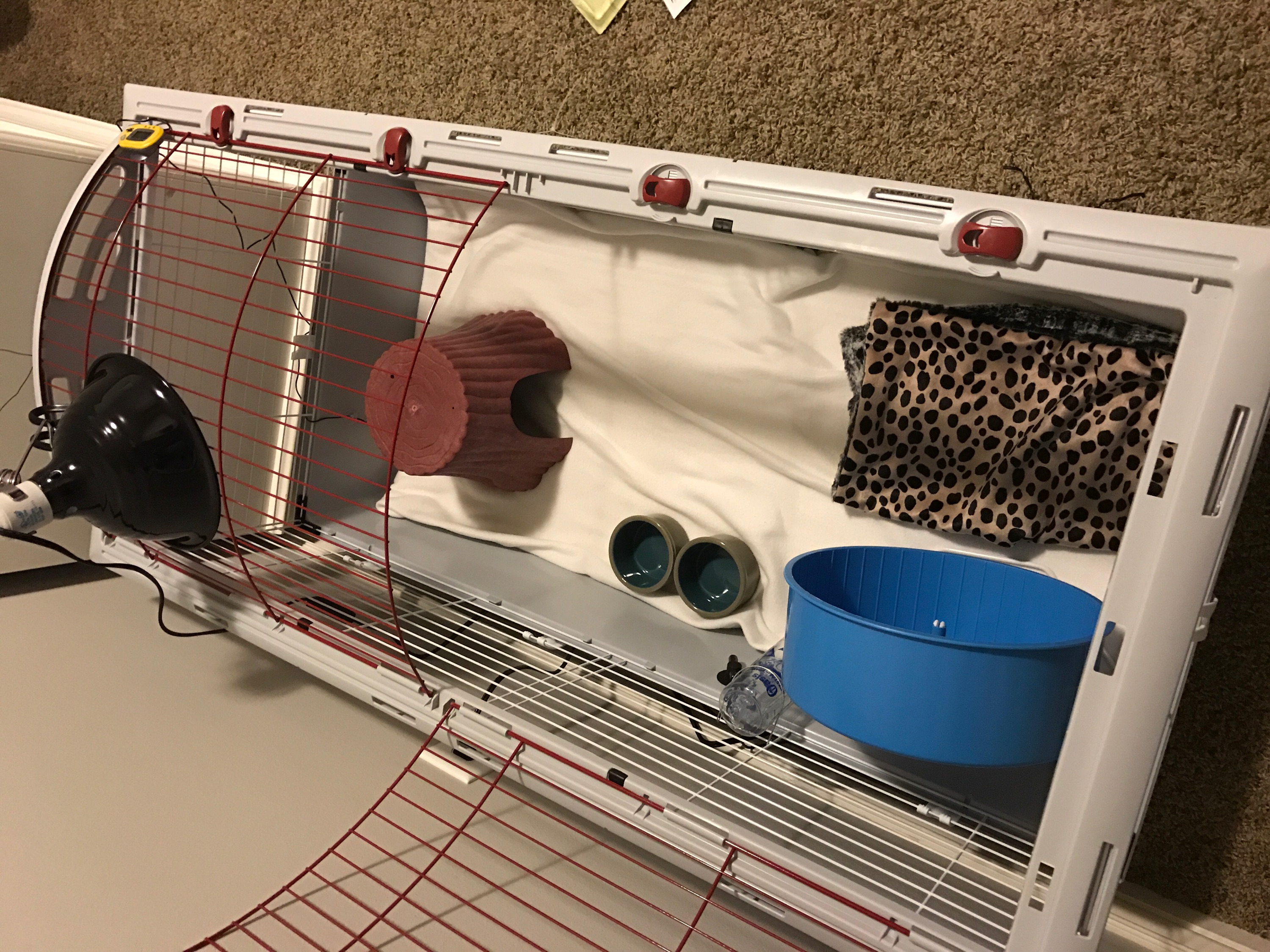 Hagen Living World Deluxe Habitat