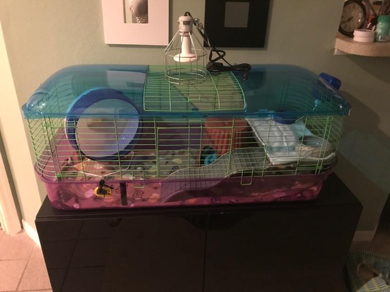 Kaytee Extra Large Critter Home