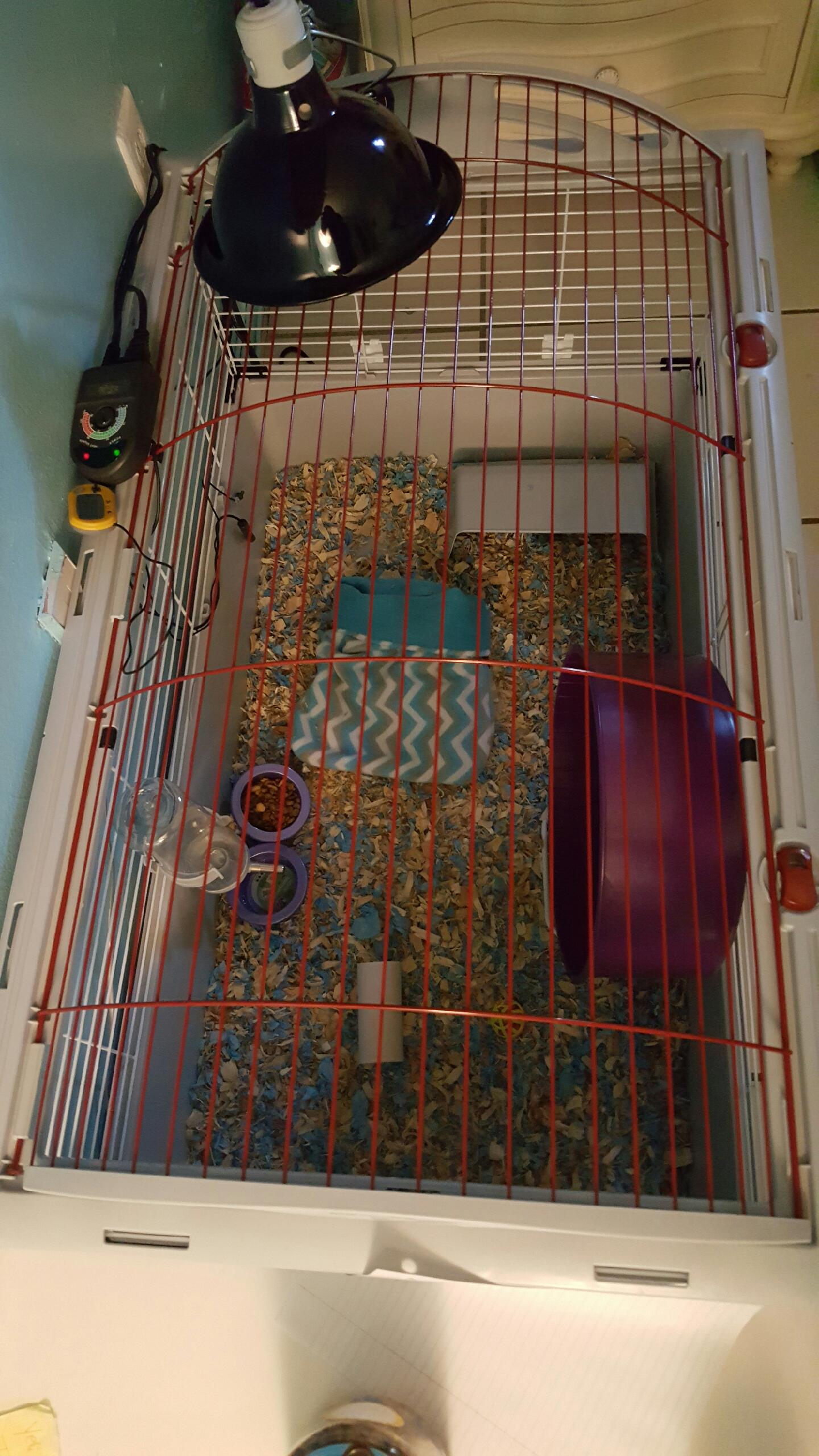 Hagen Living World Deluxe Habitat