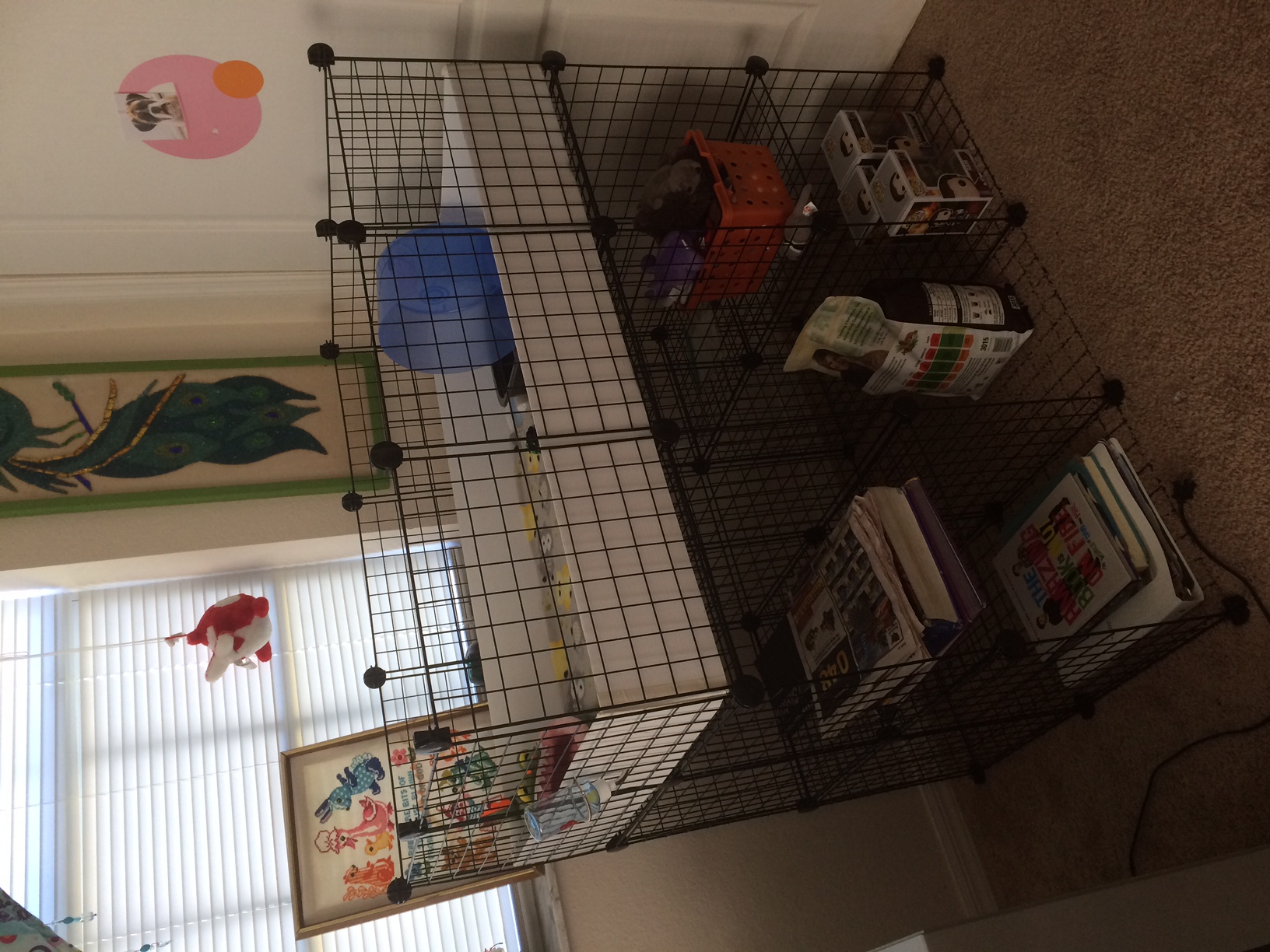 C&C Cage