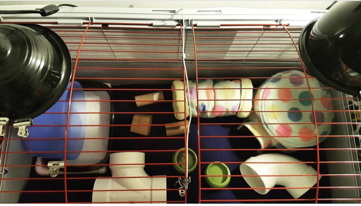 Hagen Living World Deluxe Habitat