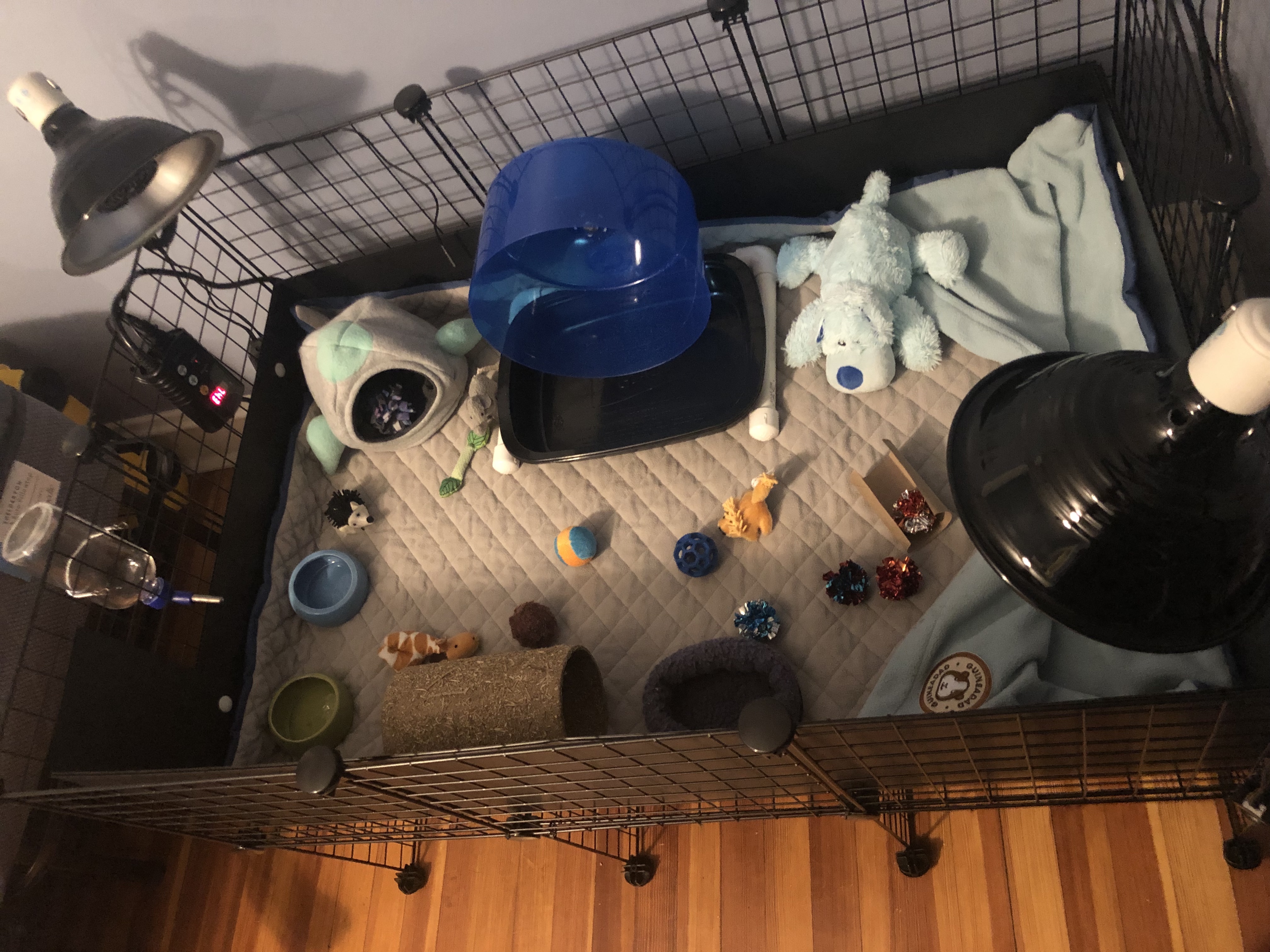 Custom built C&C cage